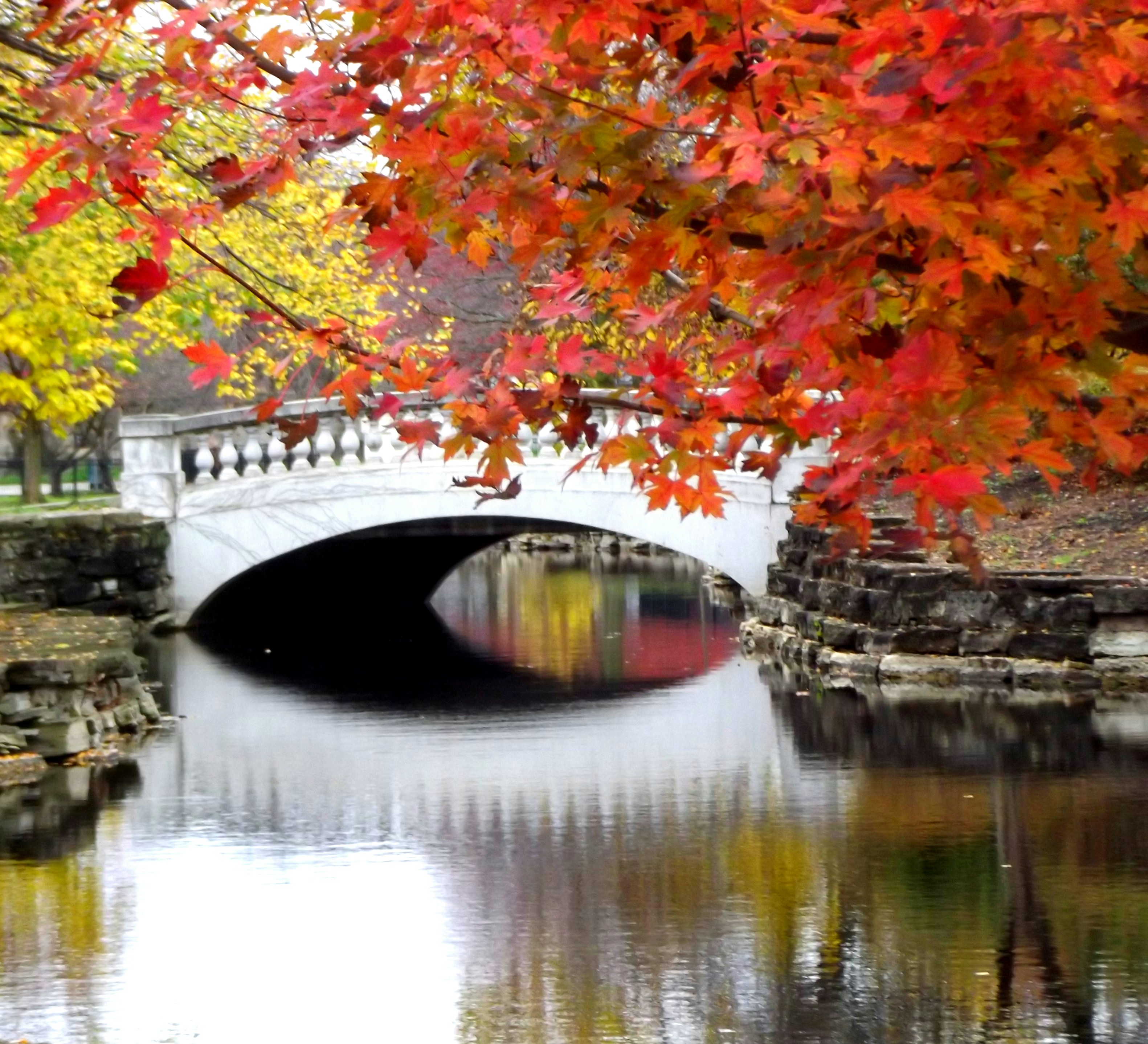 Photo by coolclifton1