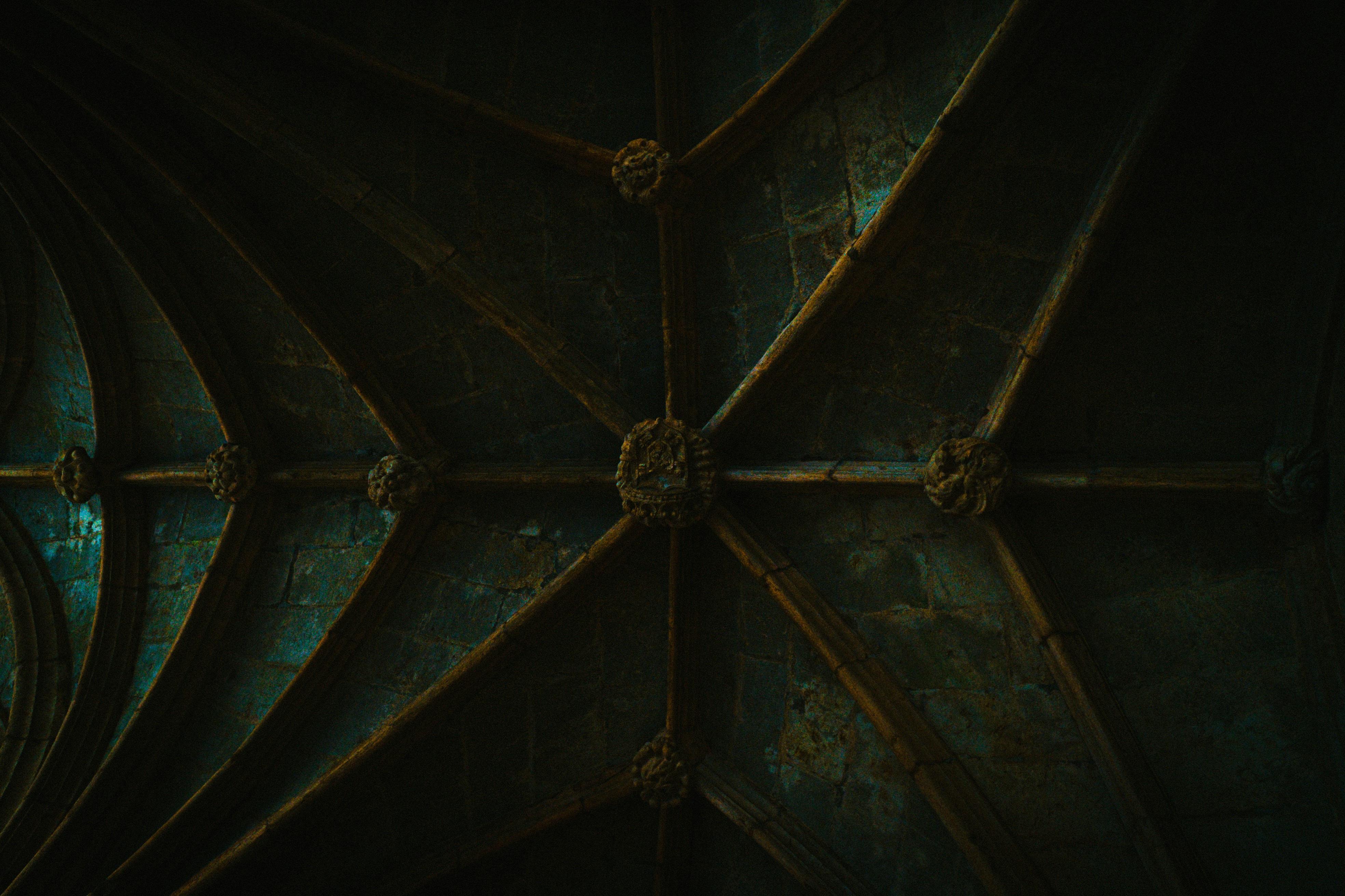 Photo by slie_design