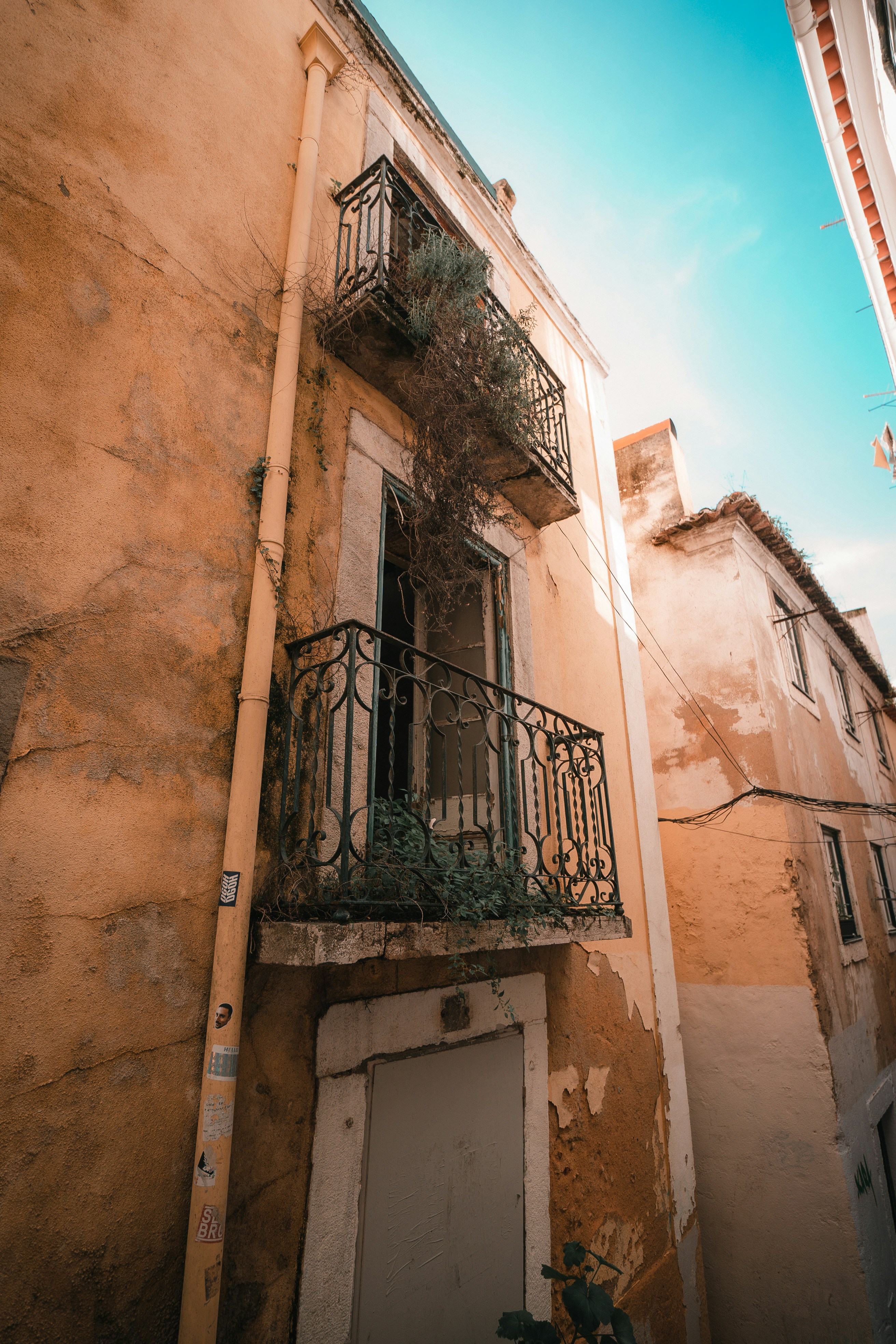 Photo by slie_design