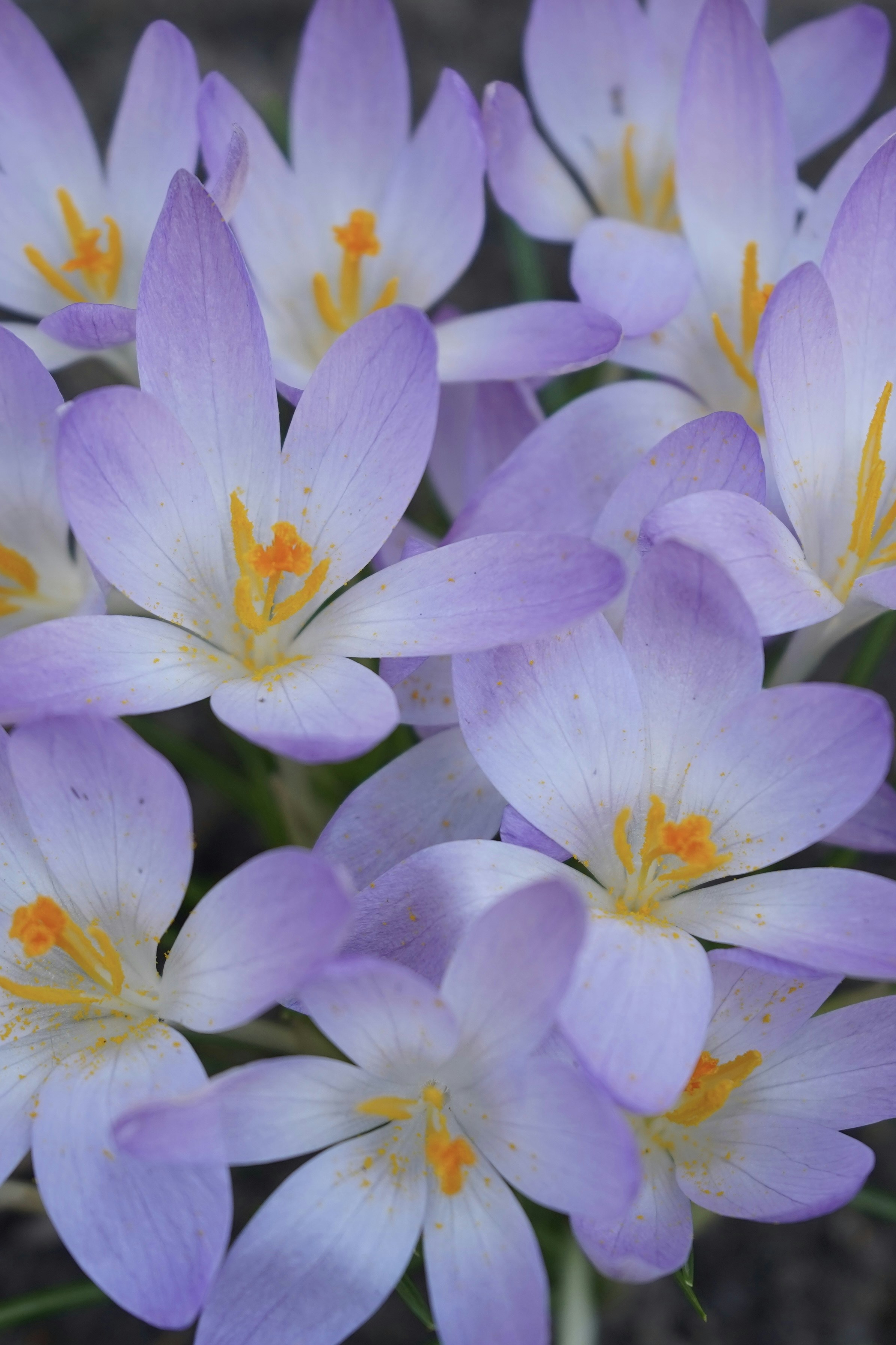 Photo by vamsinathreddy9