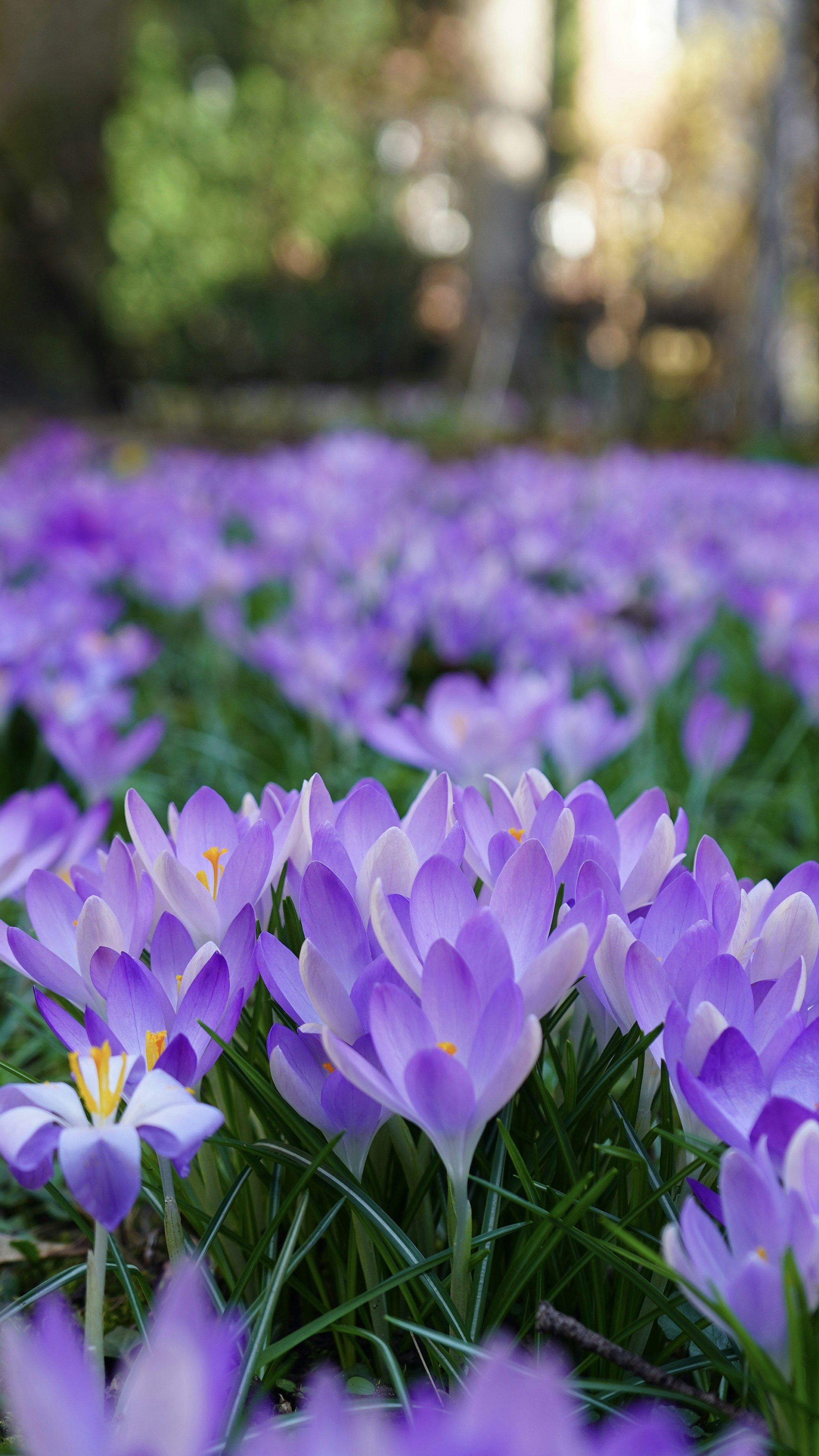 Photo by vamsinathreddy9