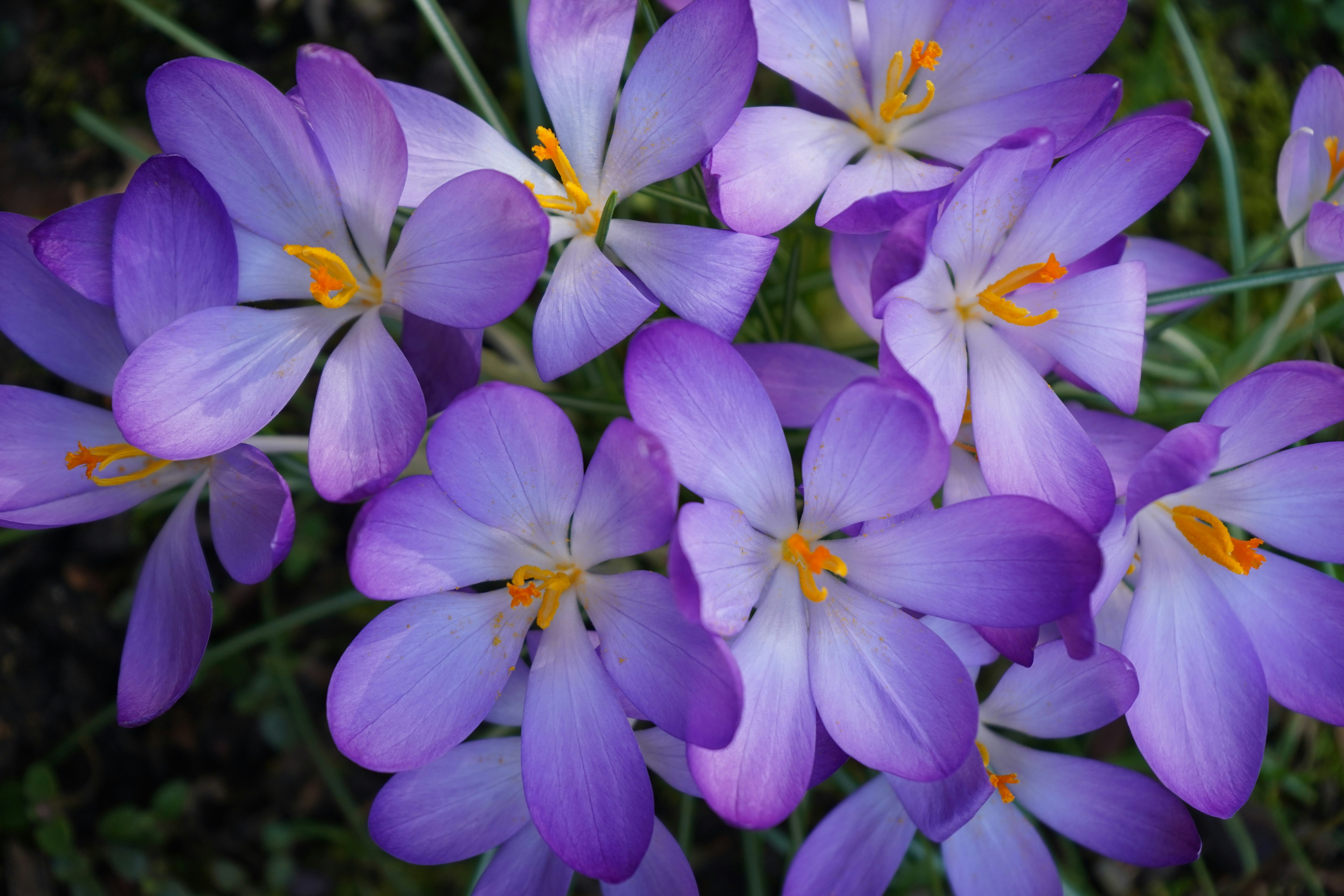 Photo by vamsinathreddy9