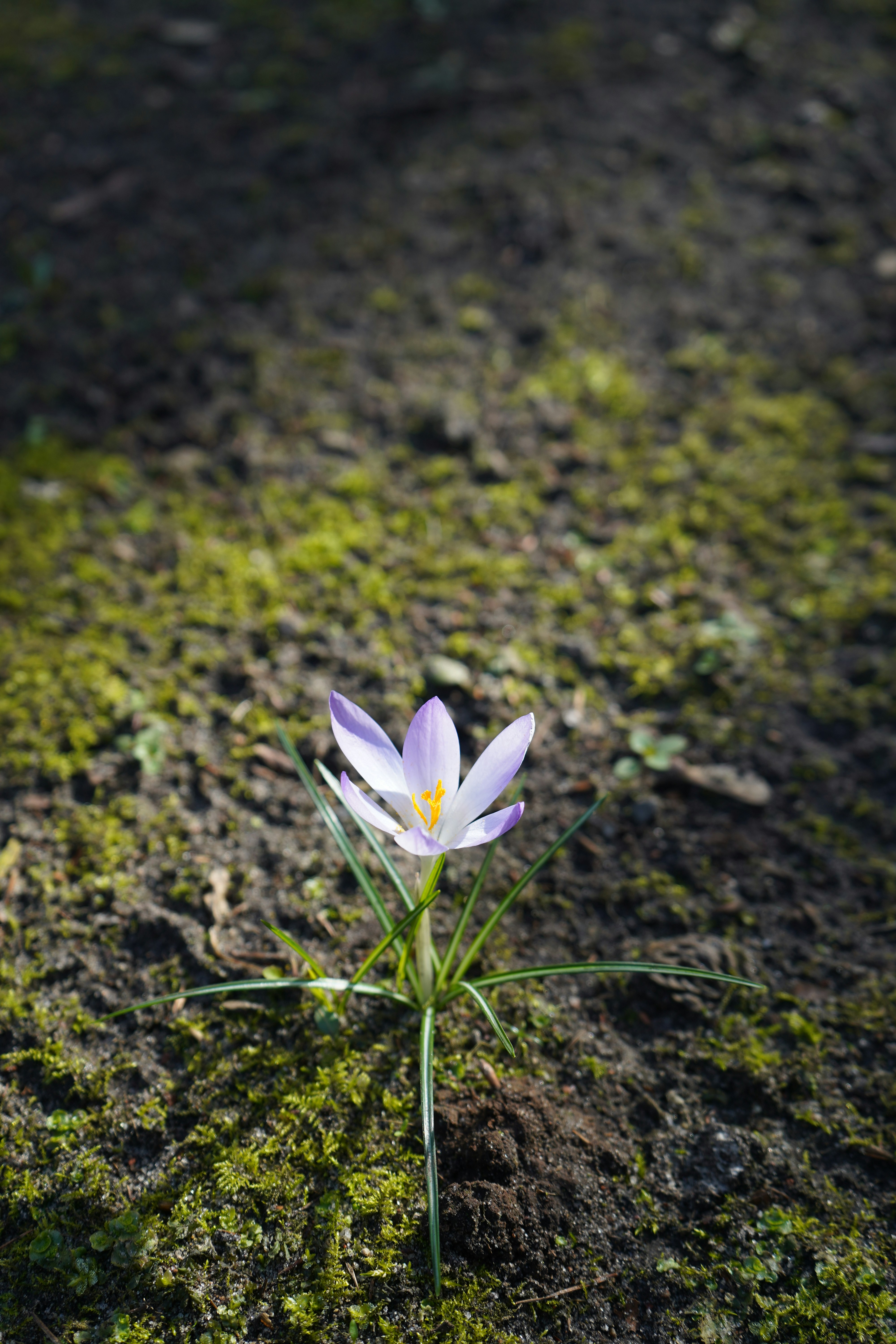 Photo by vamsinathreddy9