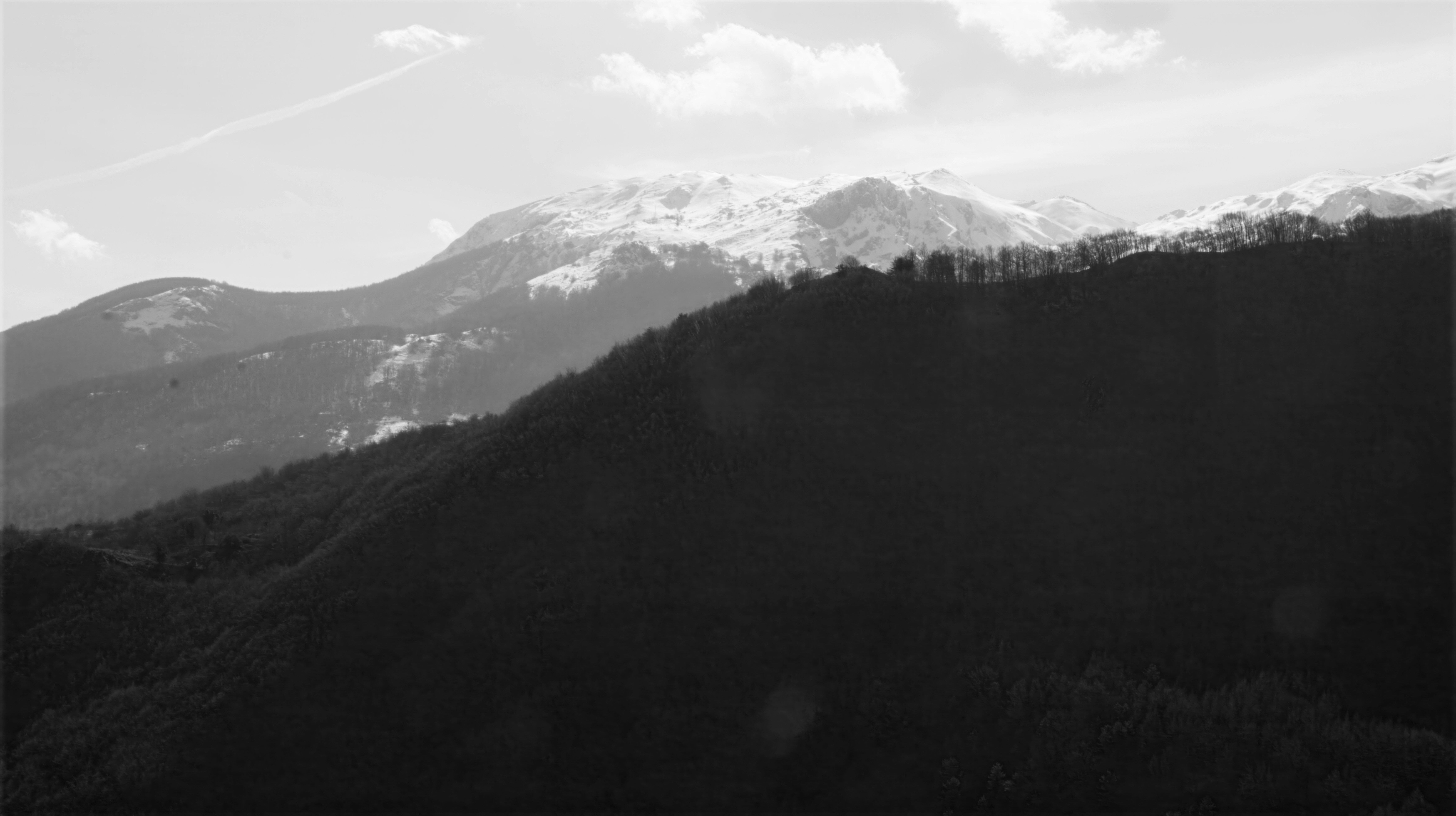 Photo by mircovitti87