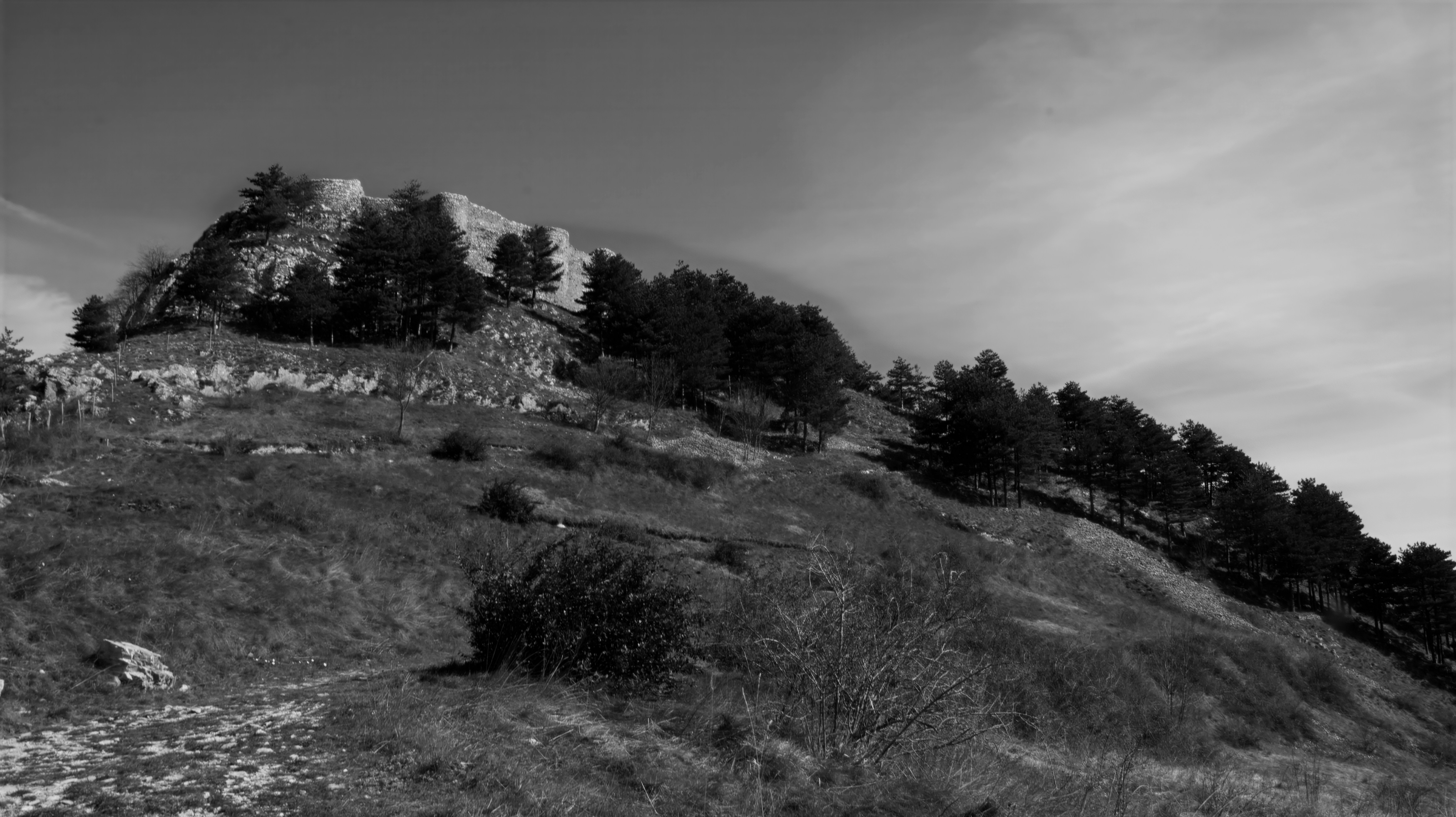 Photo by mircovitti87