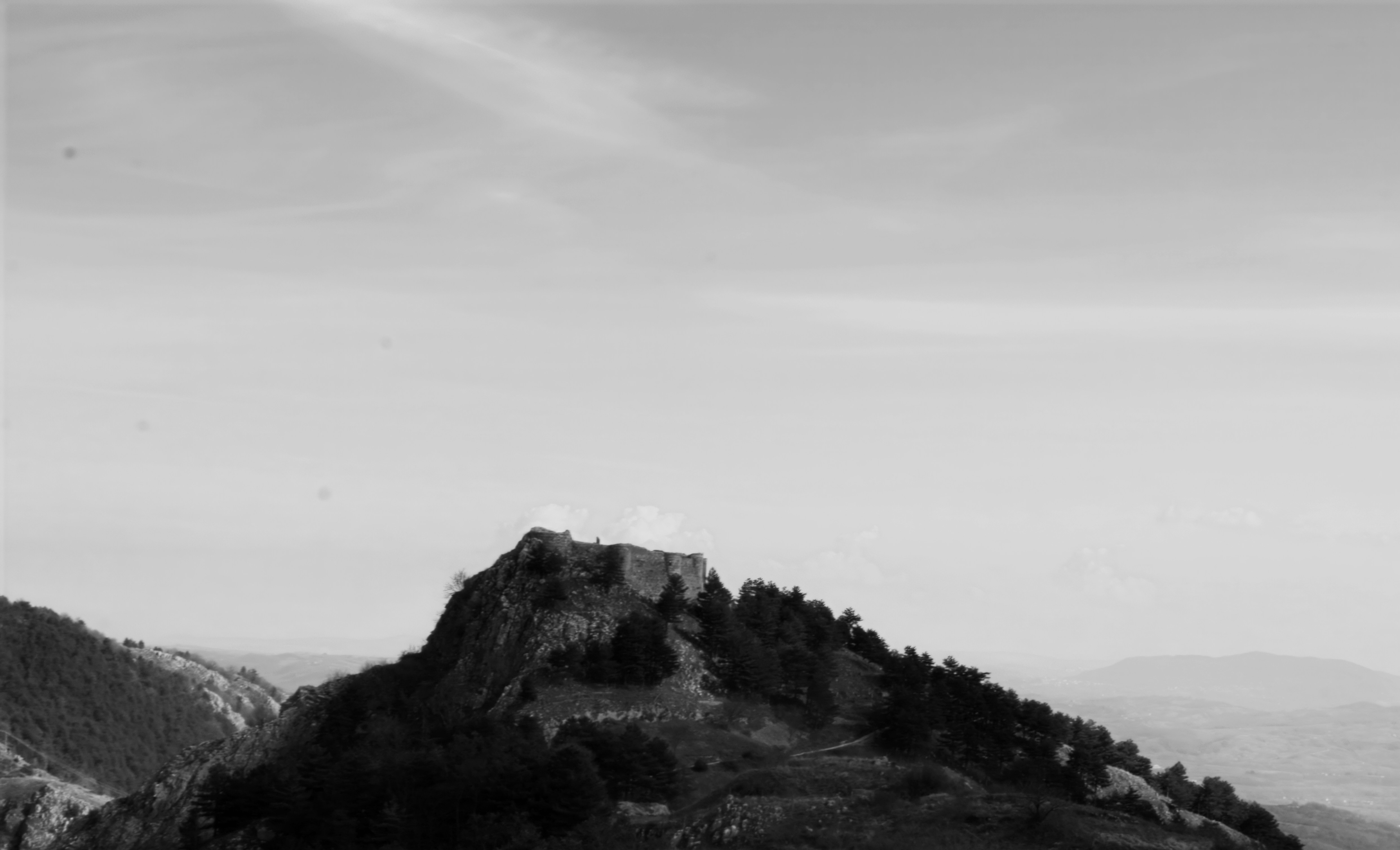 Photo by mircovitti87