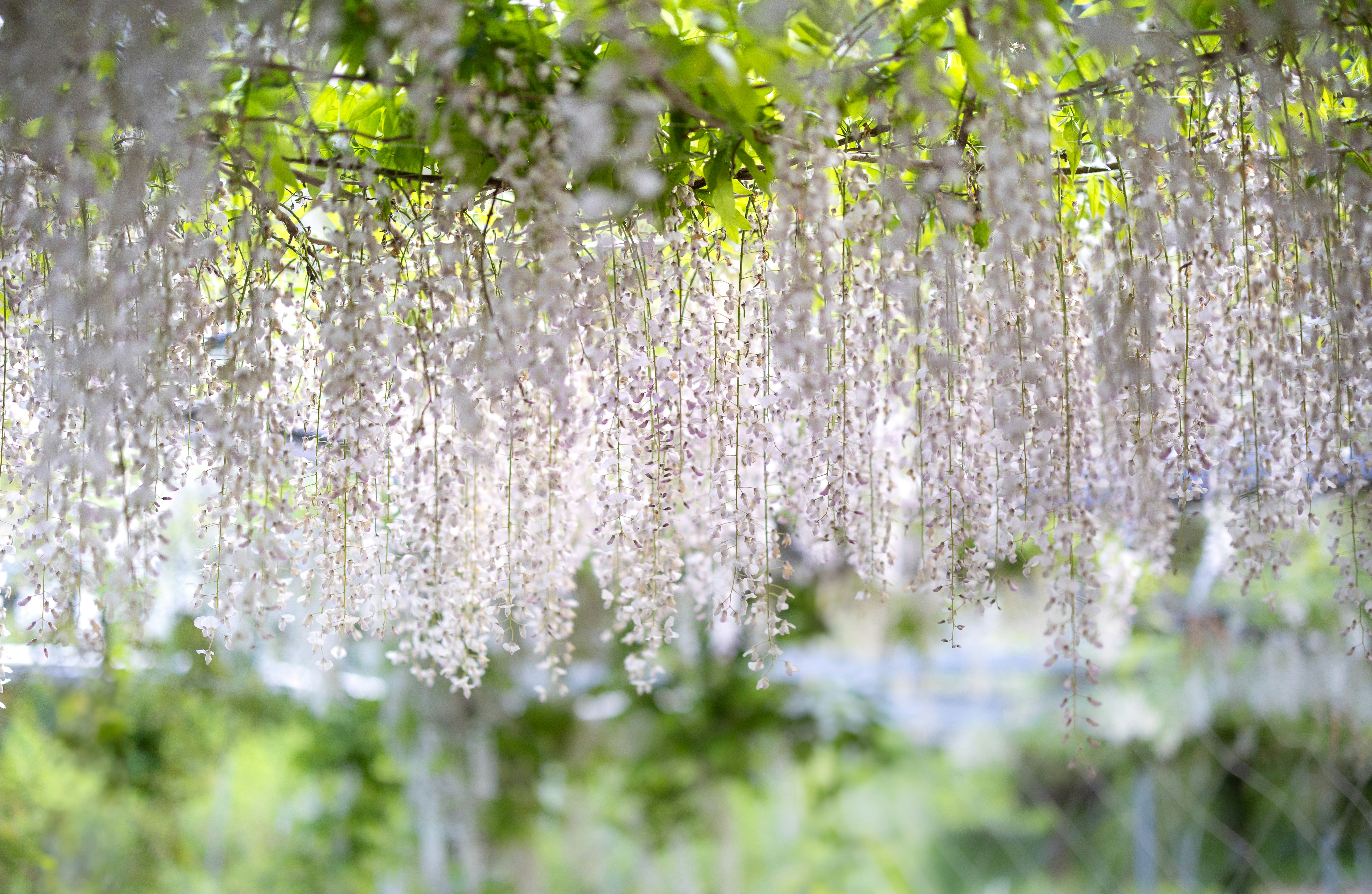 Photo by marekpiwnicki