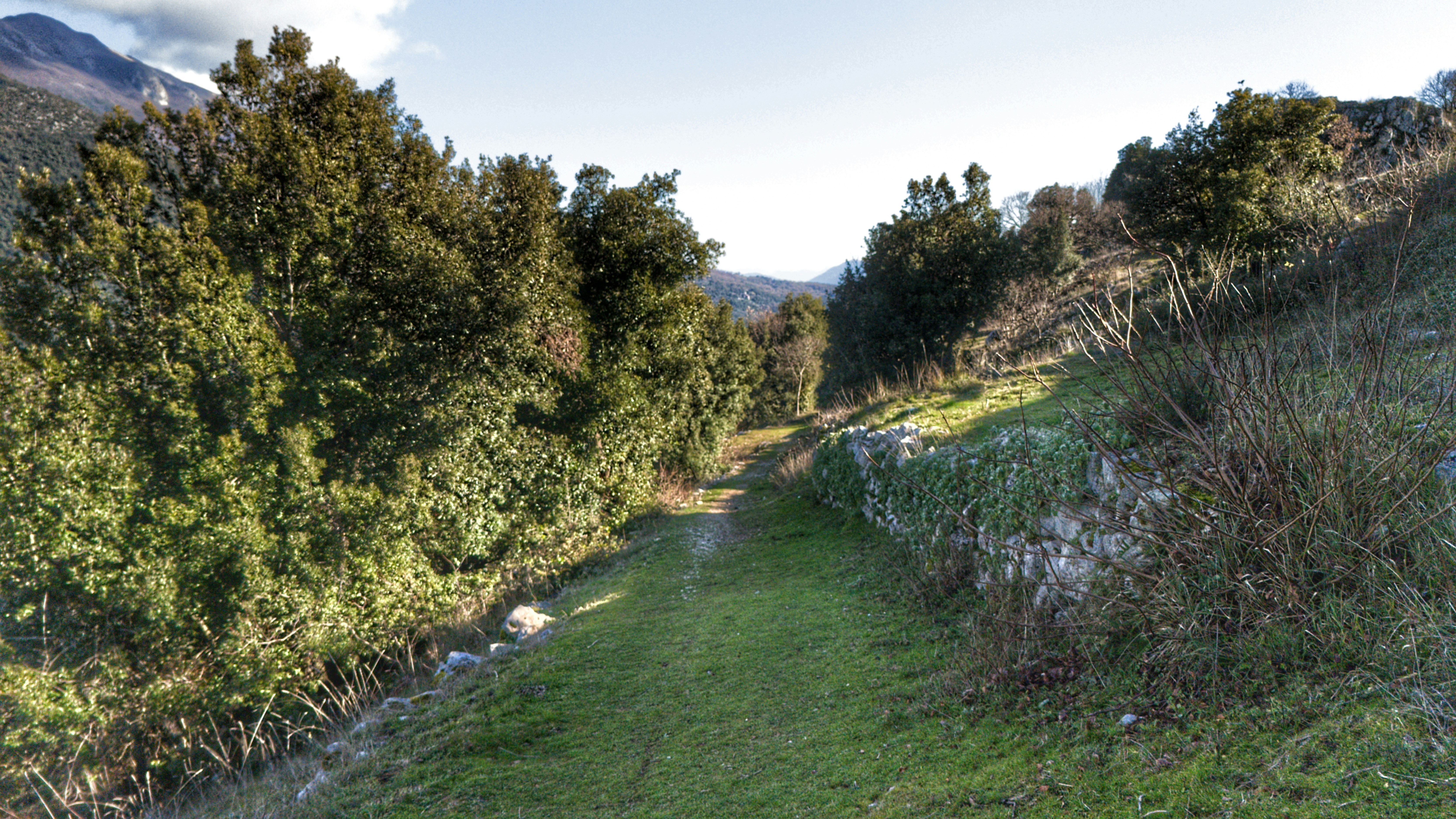 Photo by mircovitti87