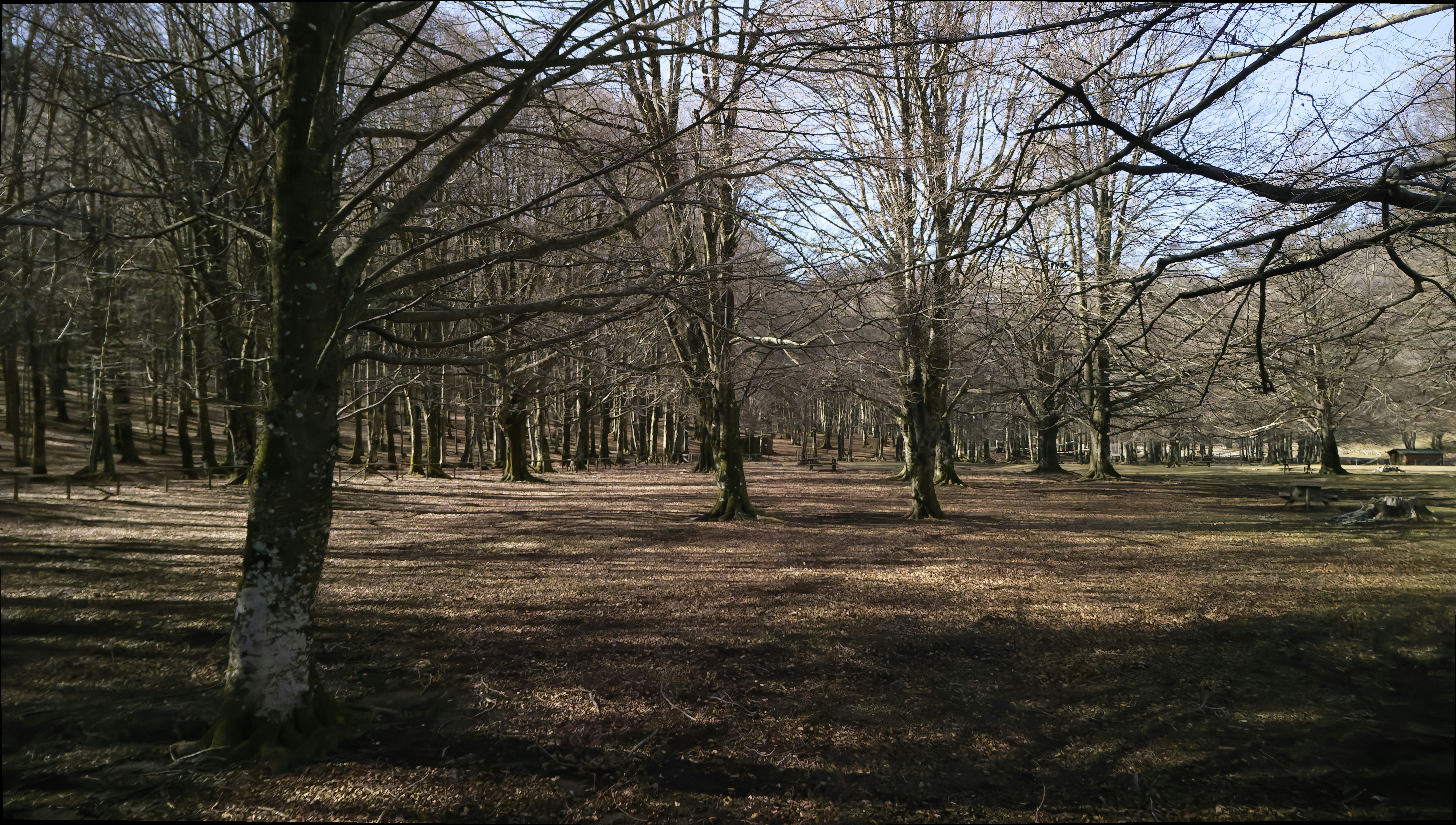 Finch Park