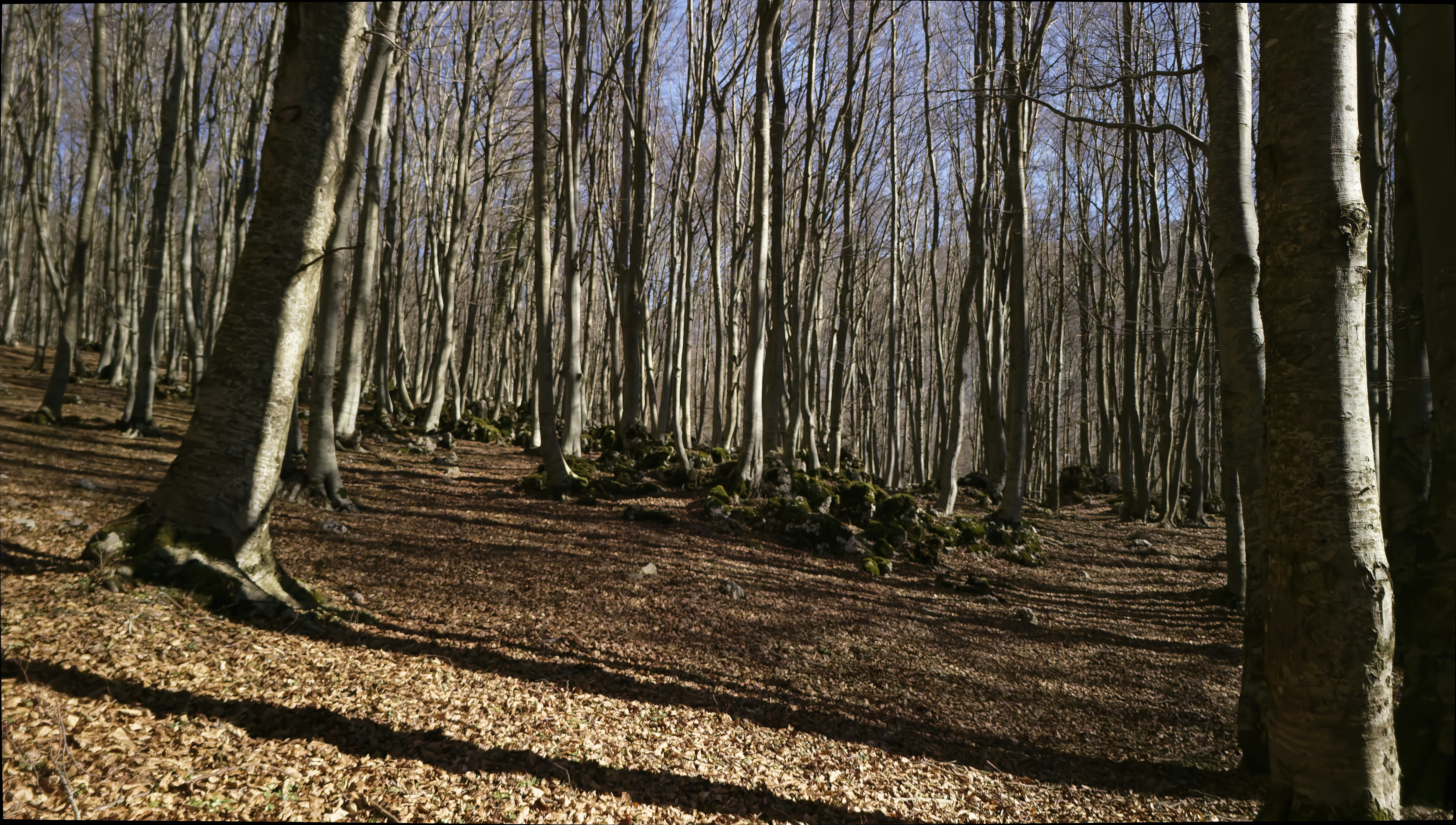 Photo by mircovitti87