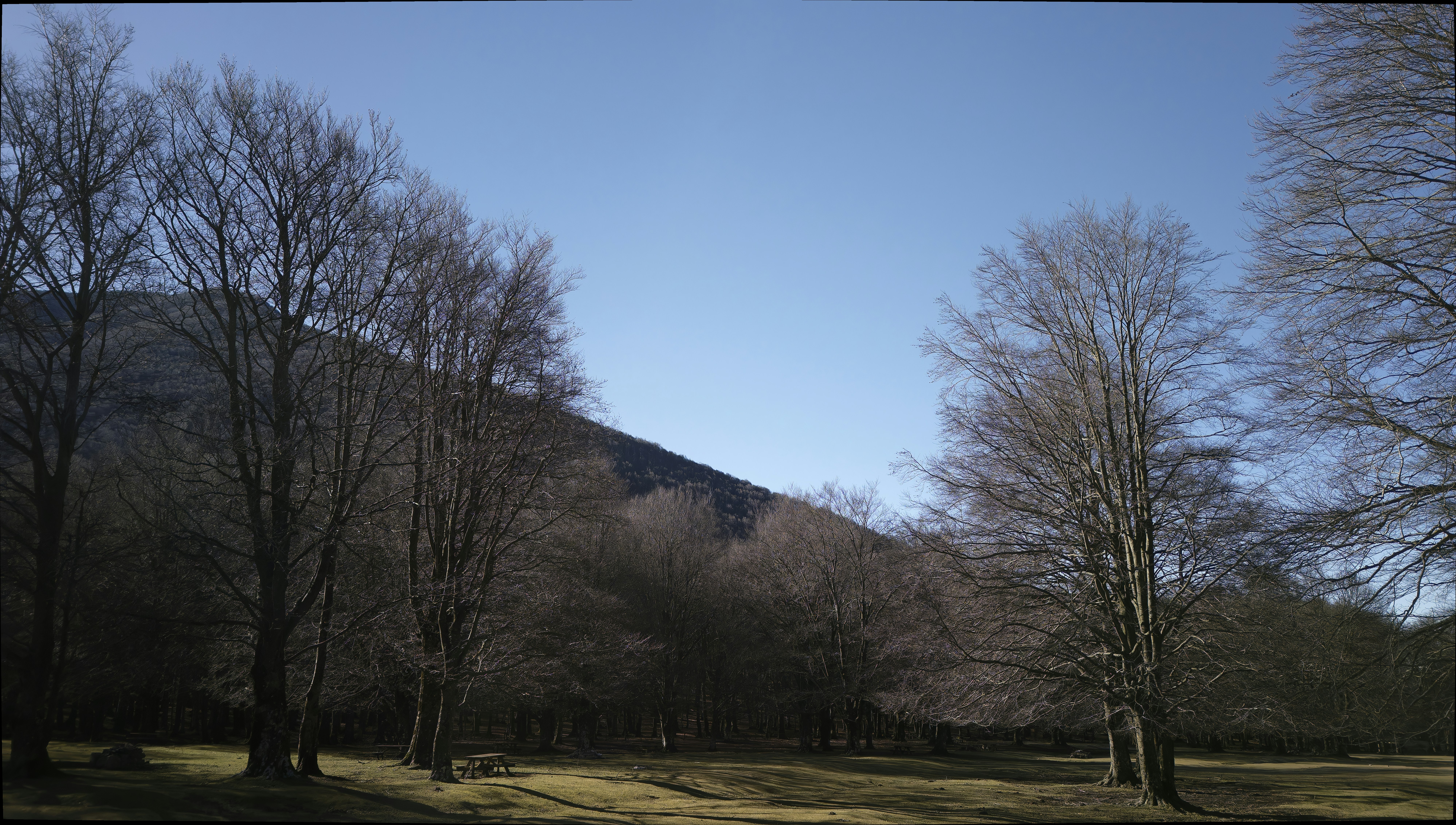 Photo by mircovitti87
