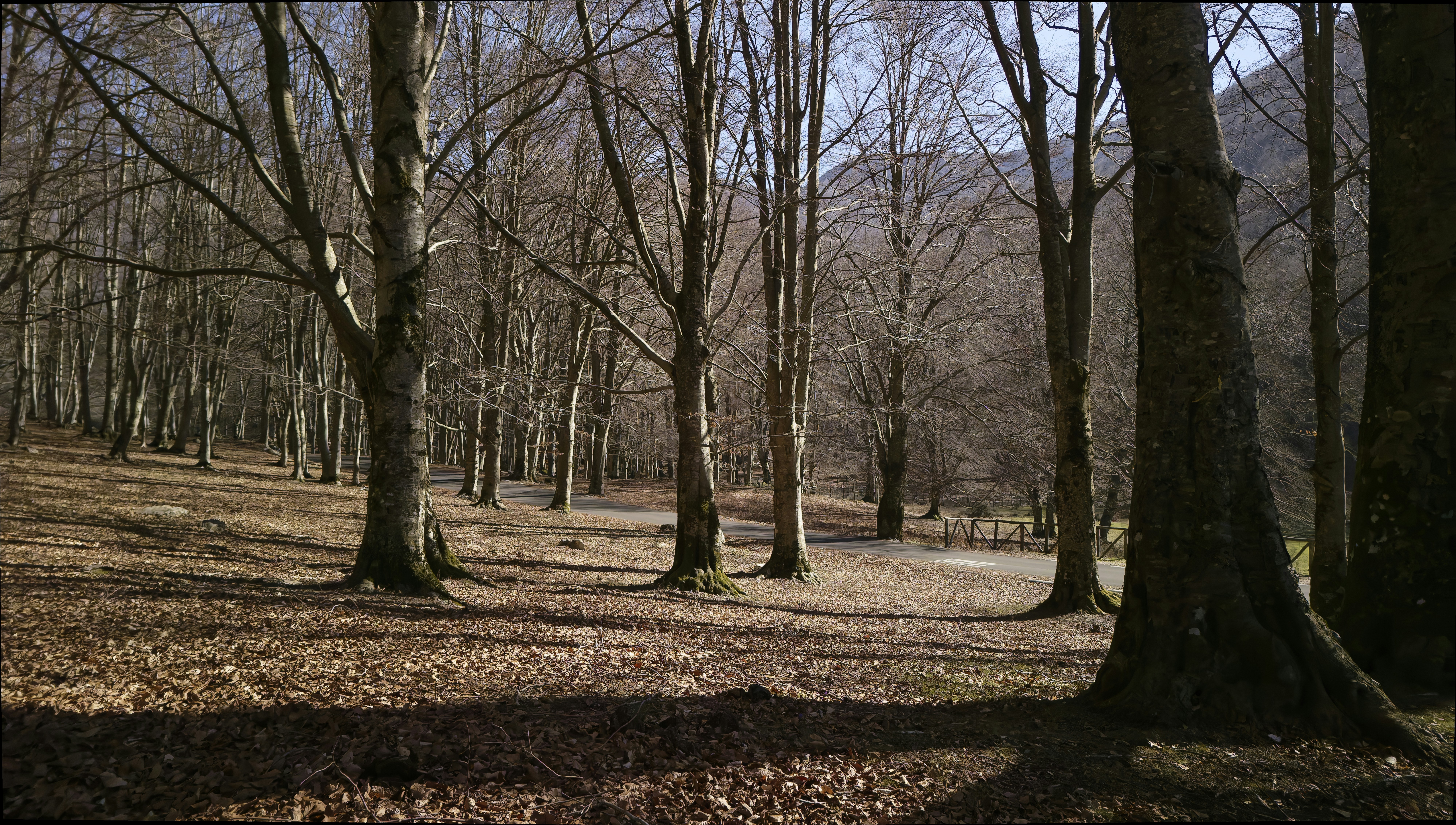 Photo by mircovitti87