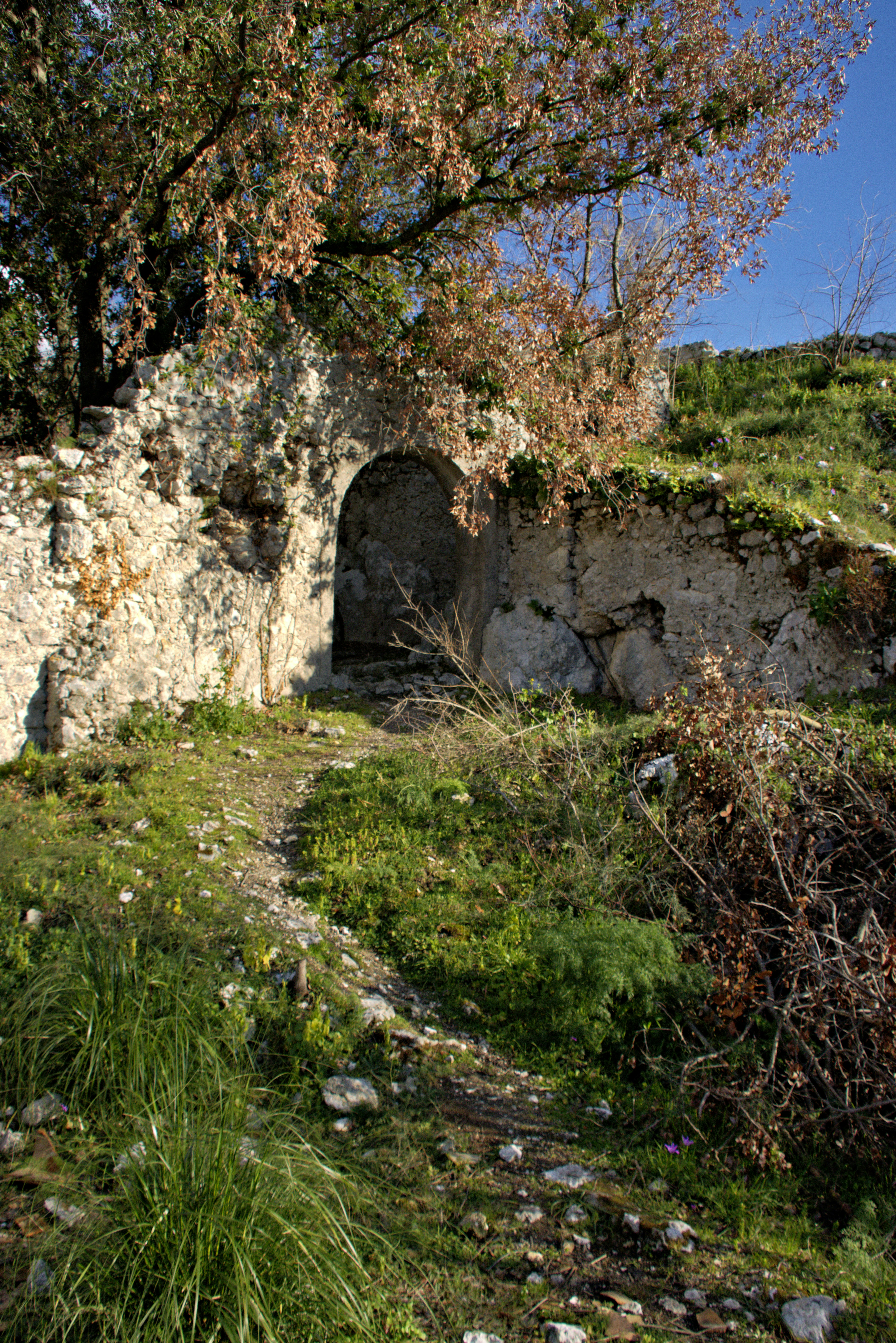 photo-1741298635147-8e560394b89b?ixid=M3