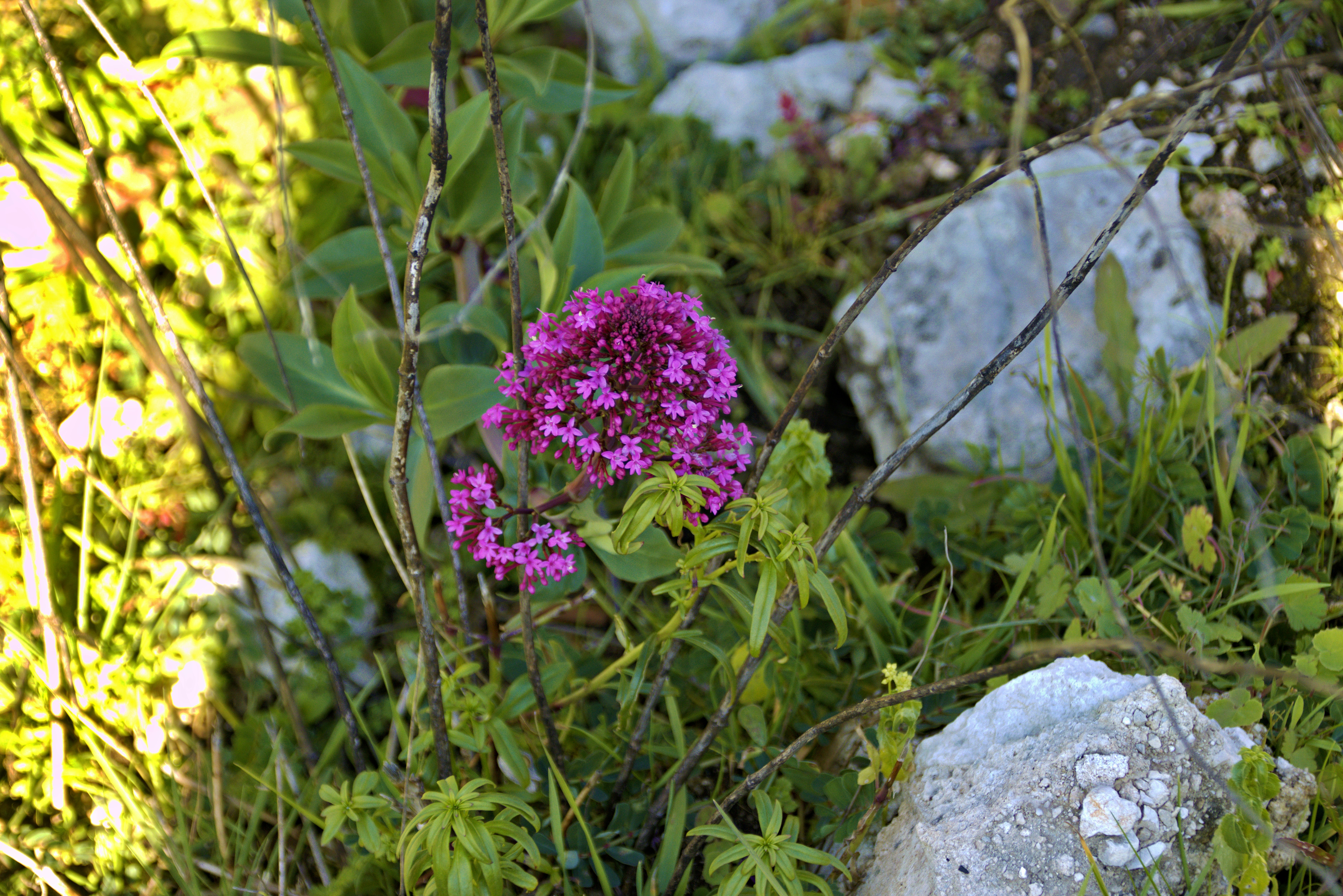 Photo by mircovitti87