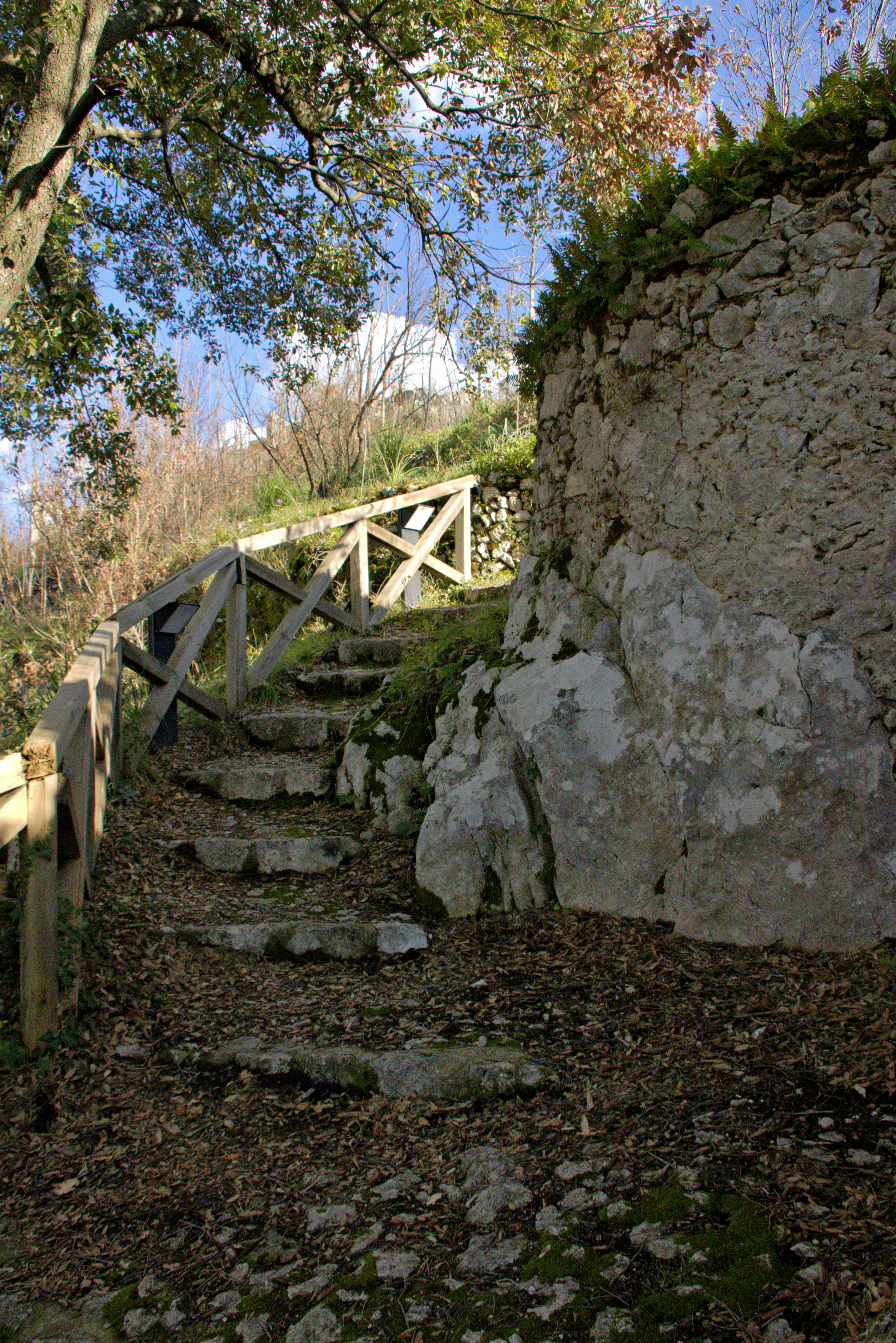 Photo by mircovitti87