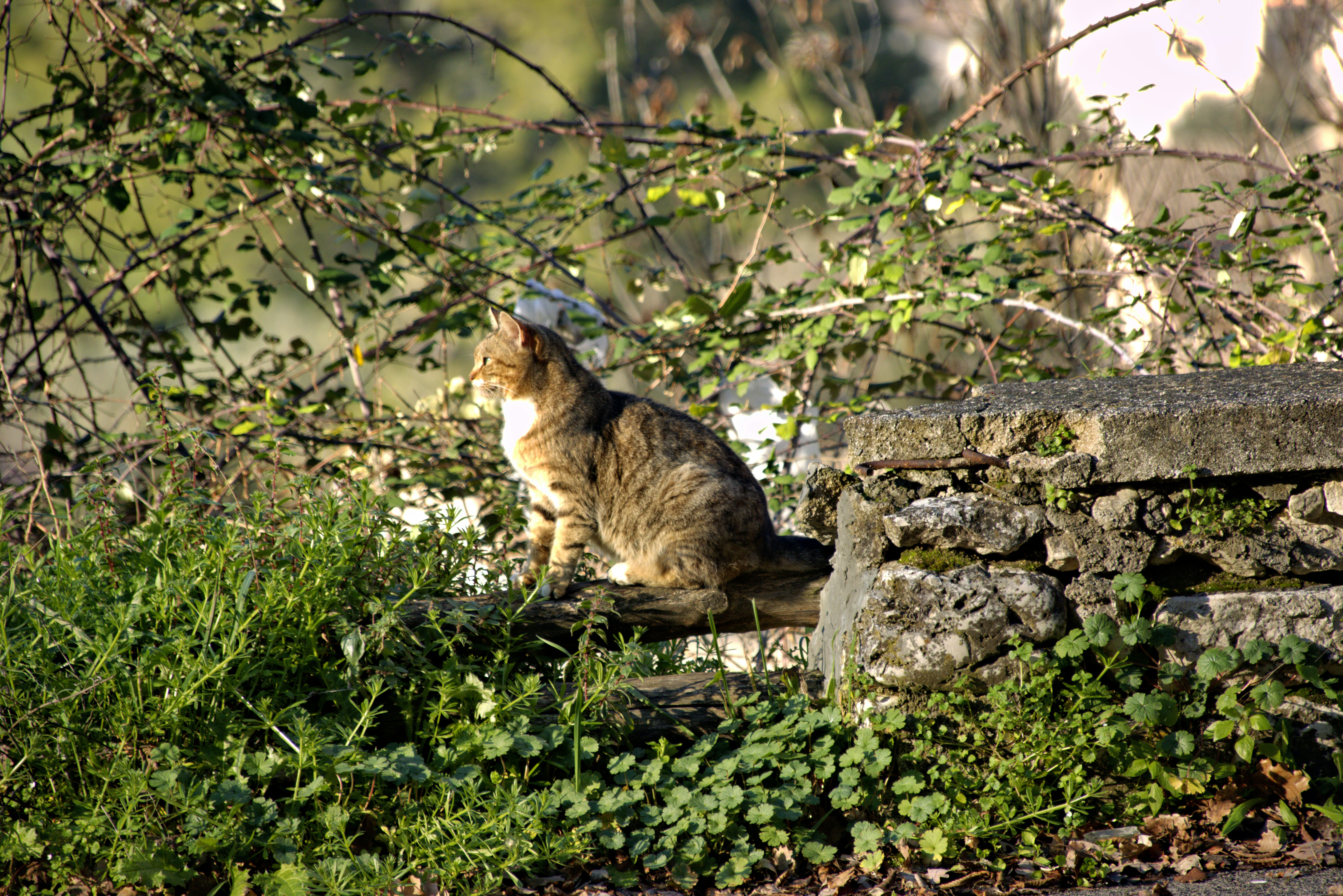 Photo by mircovitti87