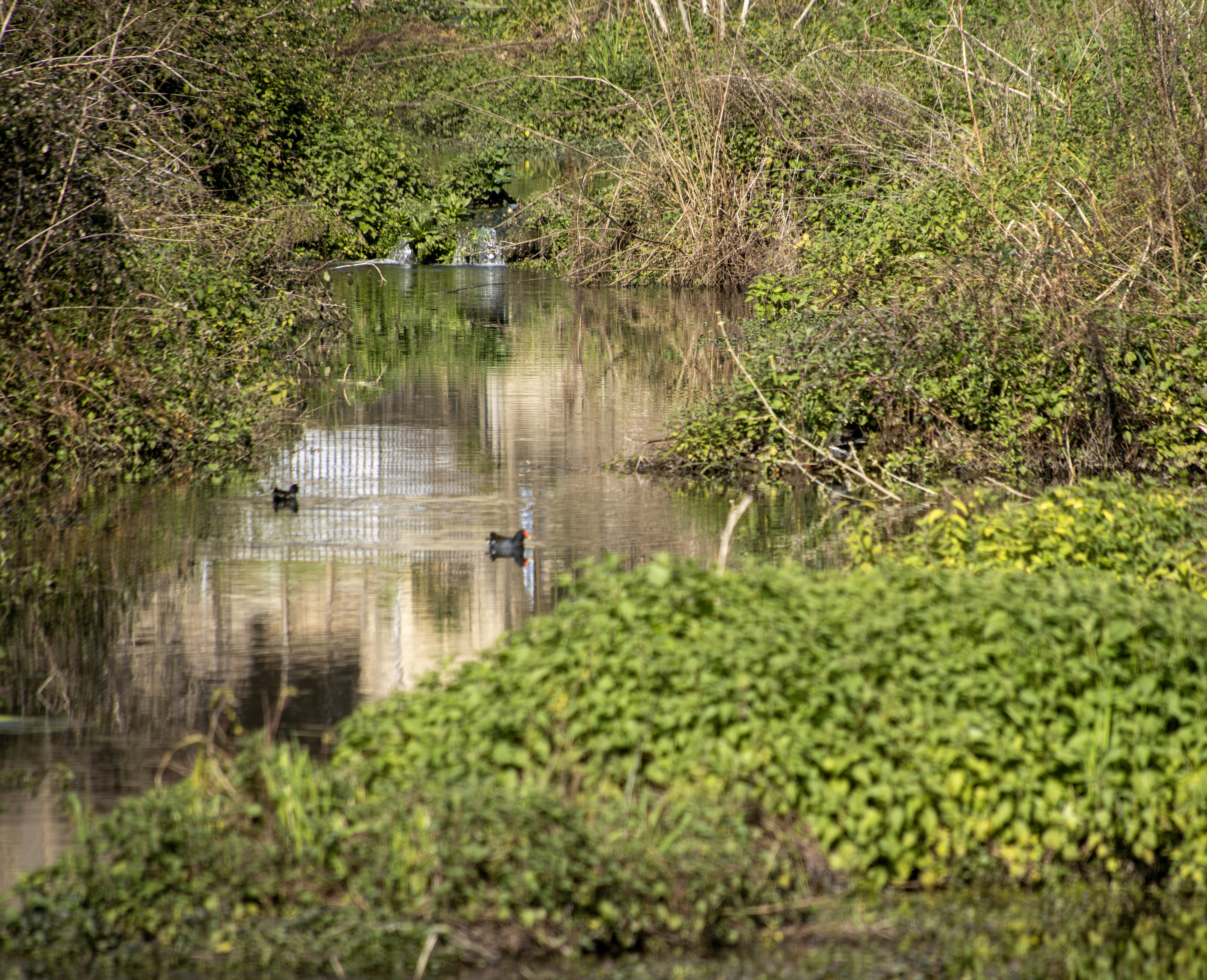 Photo by mircovitti87