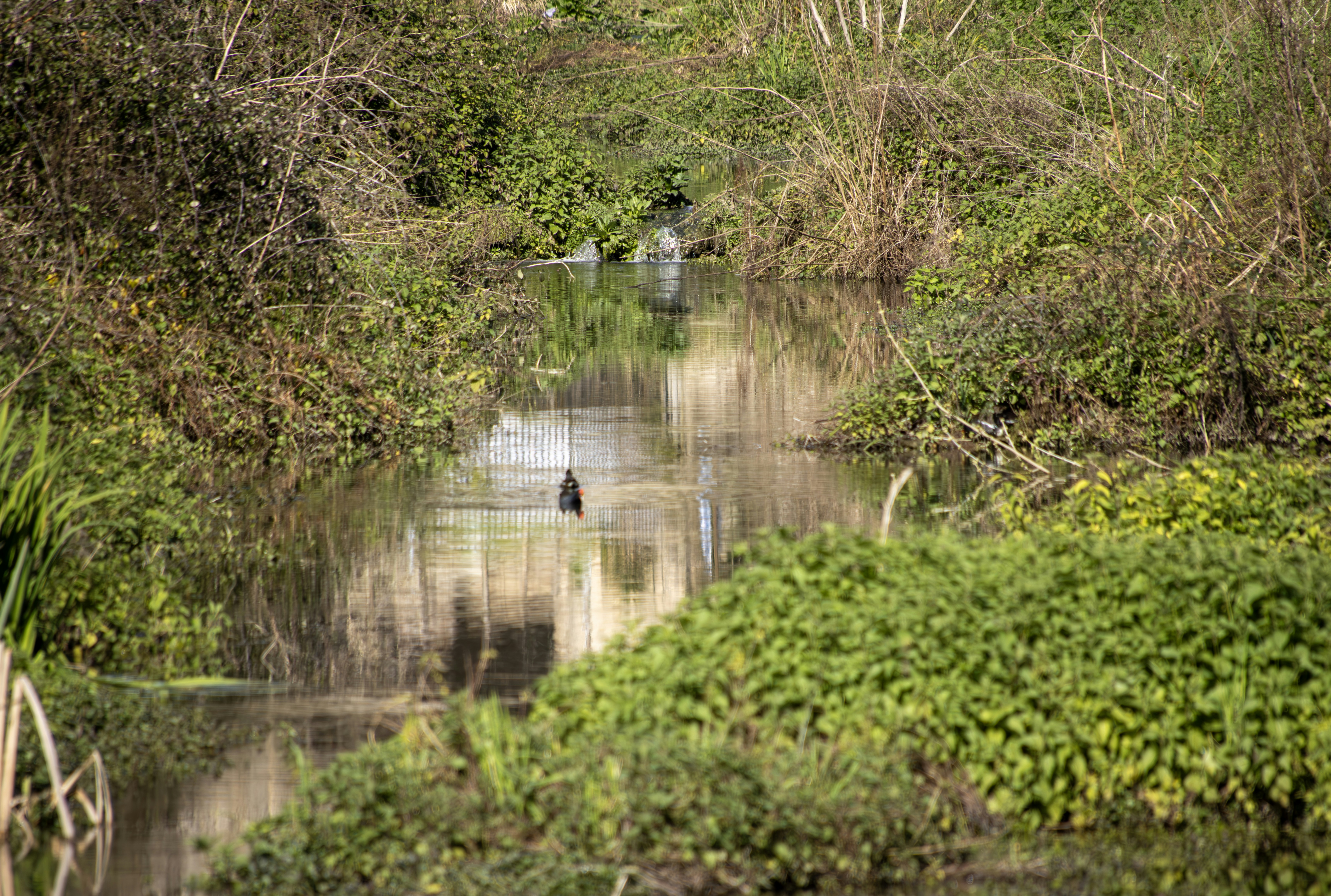 Photo by mircovitti87