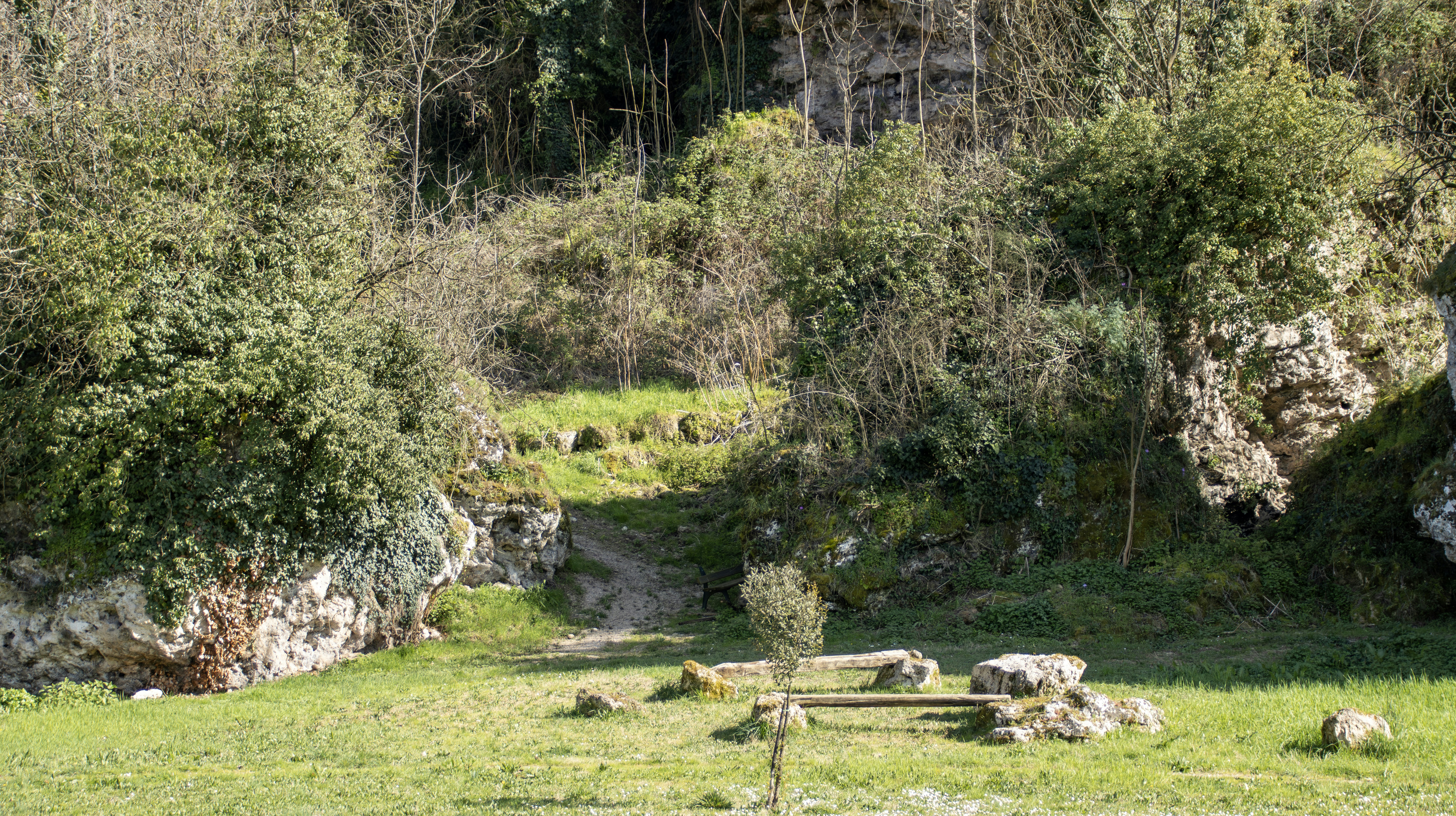 Grassy clearing with rocks and trees.