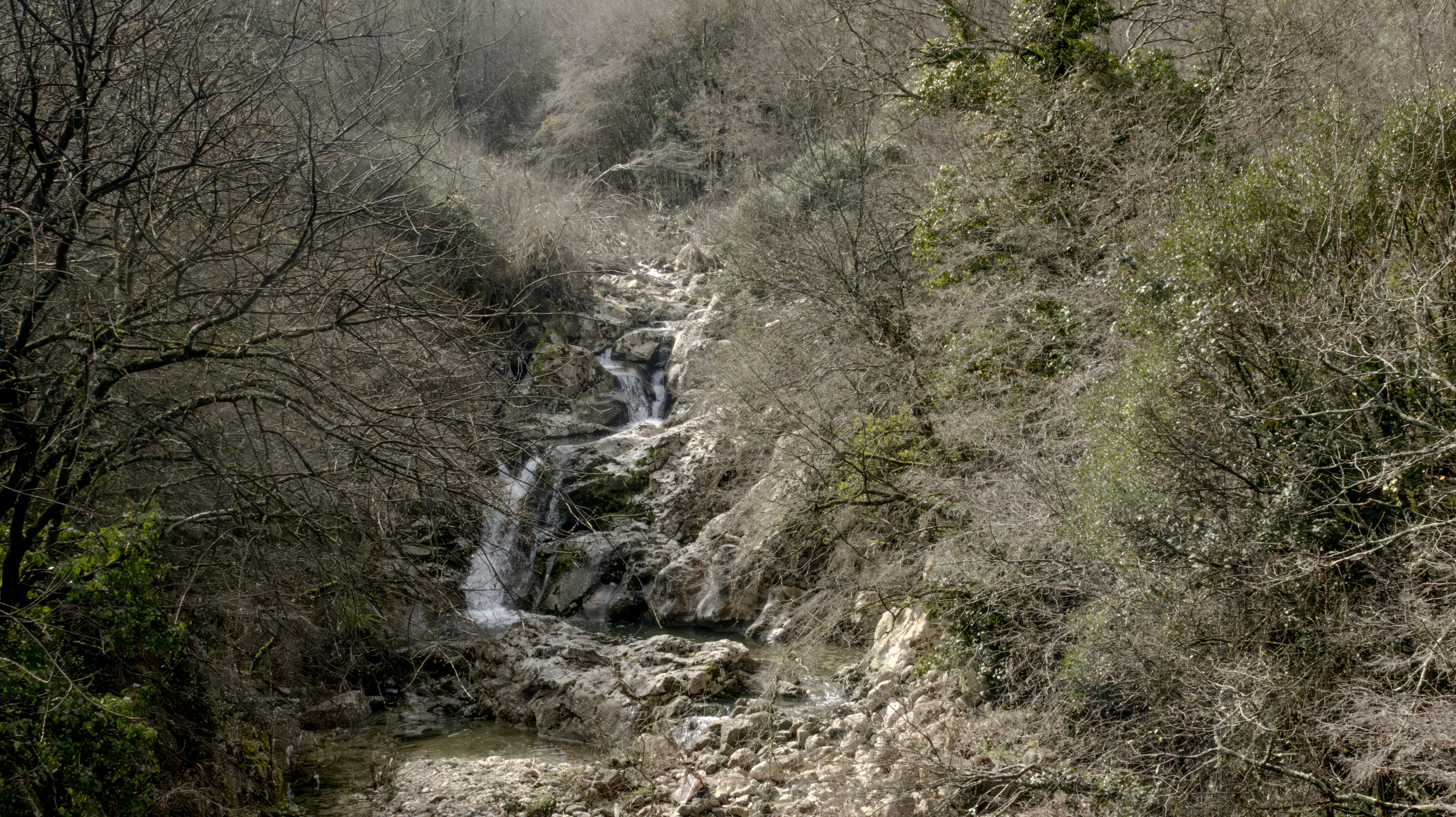 Photo by mircovitti87