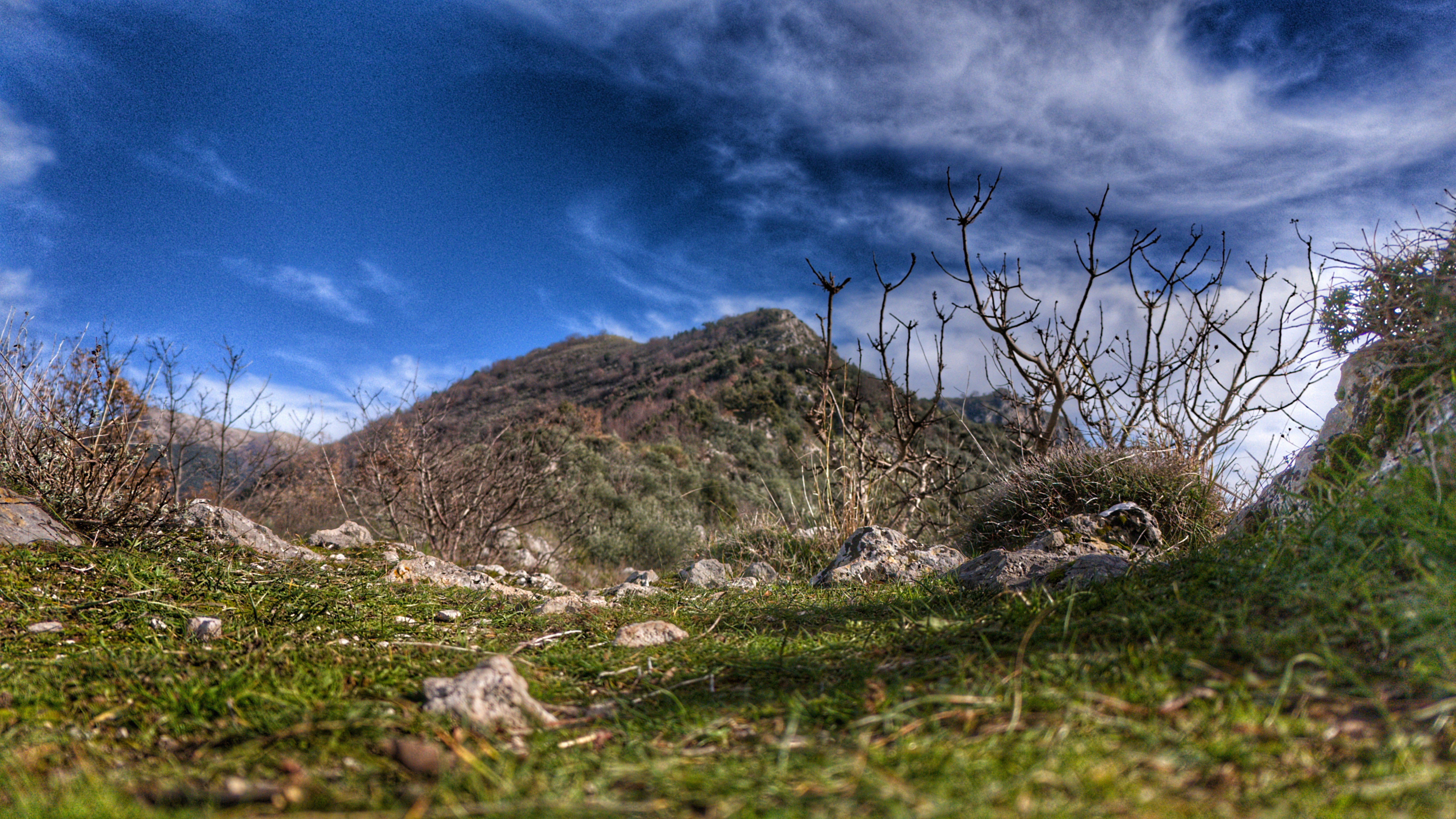 Photo by mircovitti87