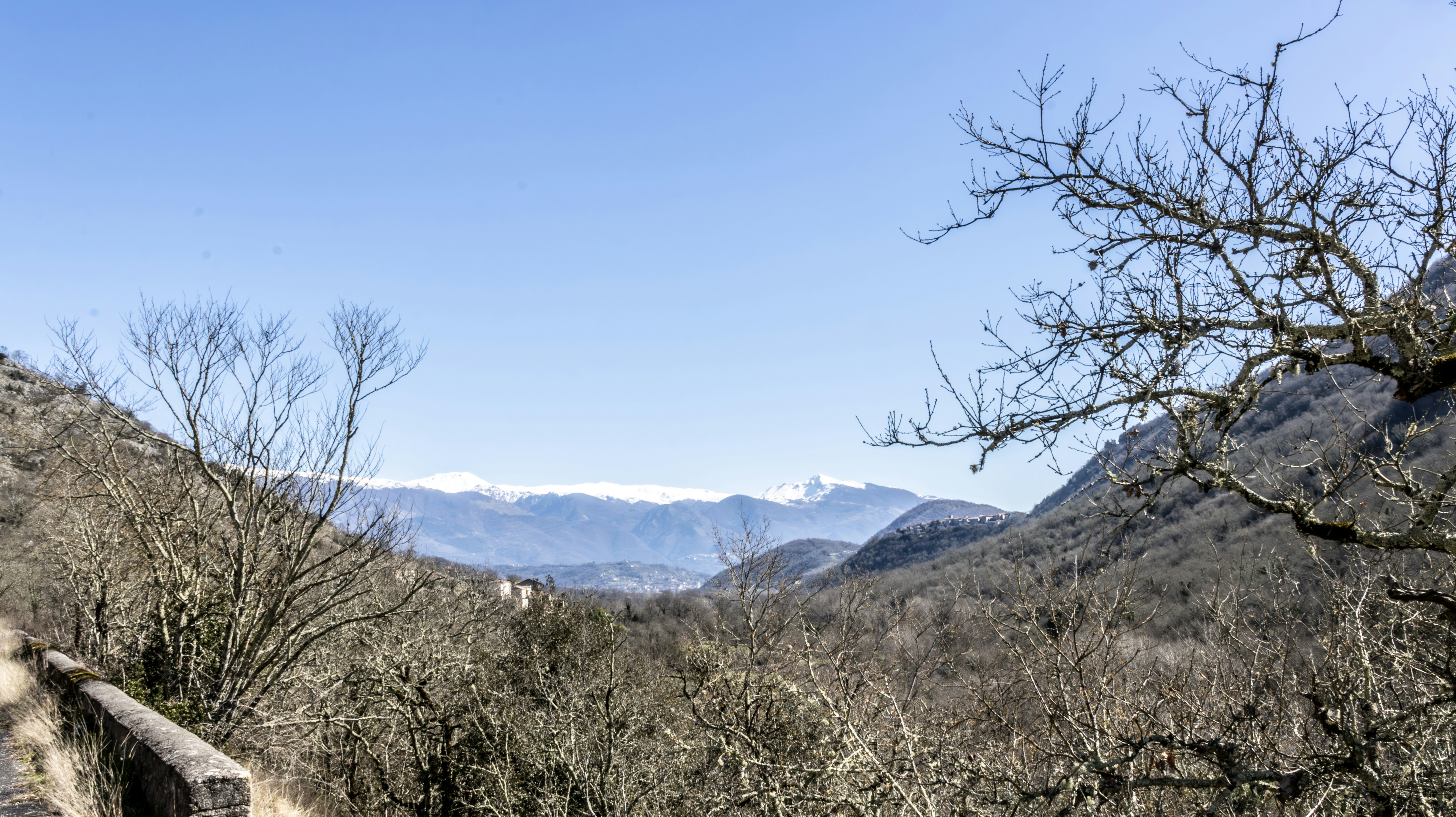 Photo by mircovitti87