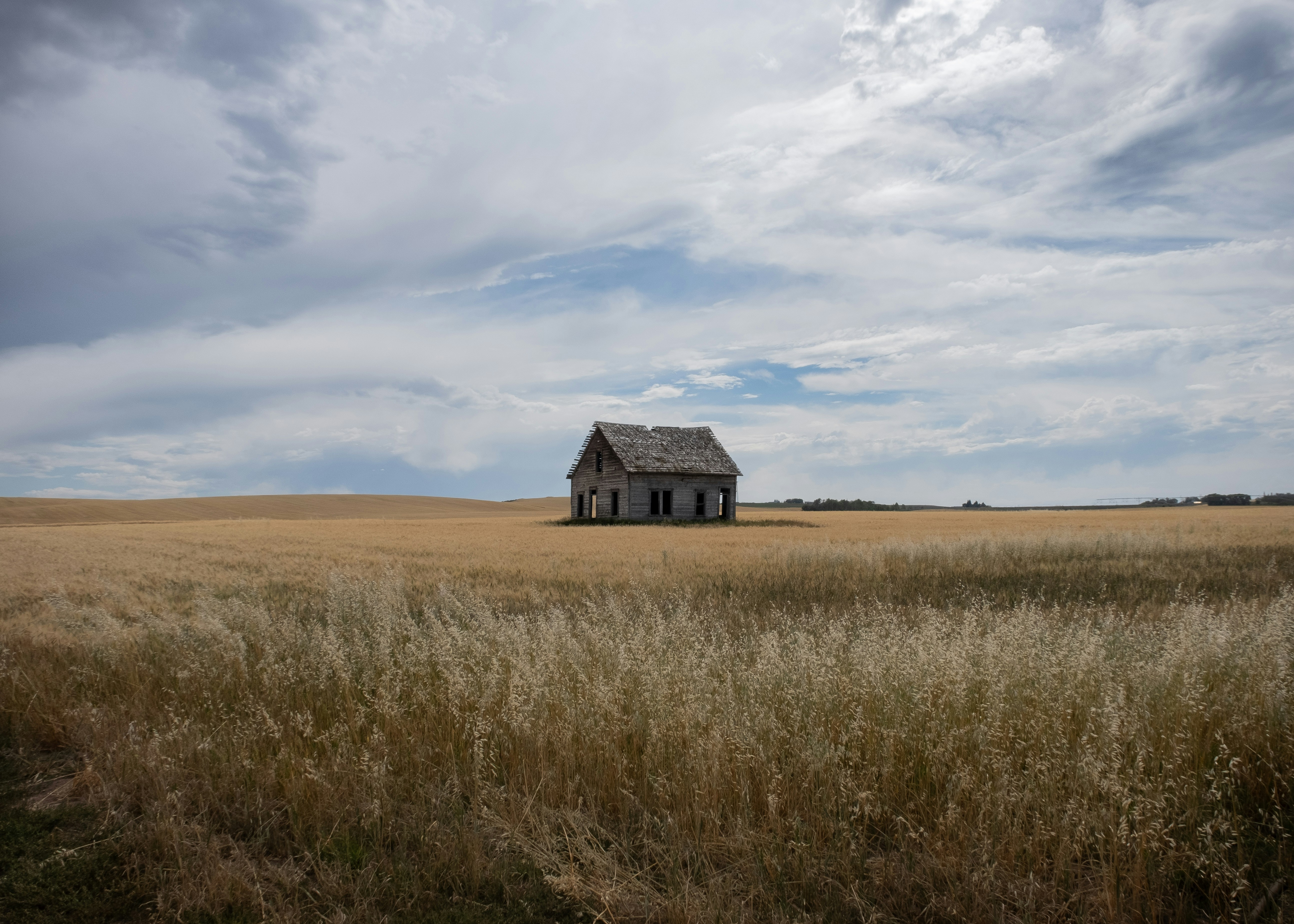 Photo by donald_merrill