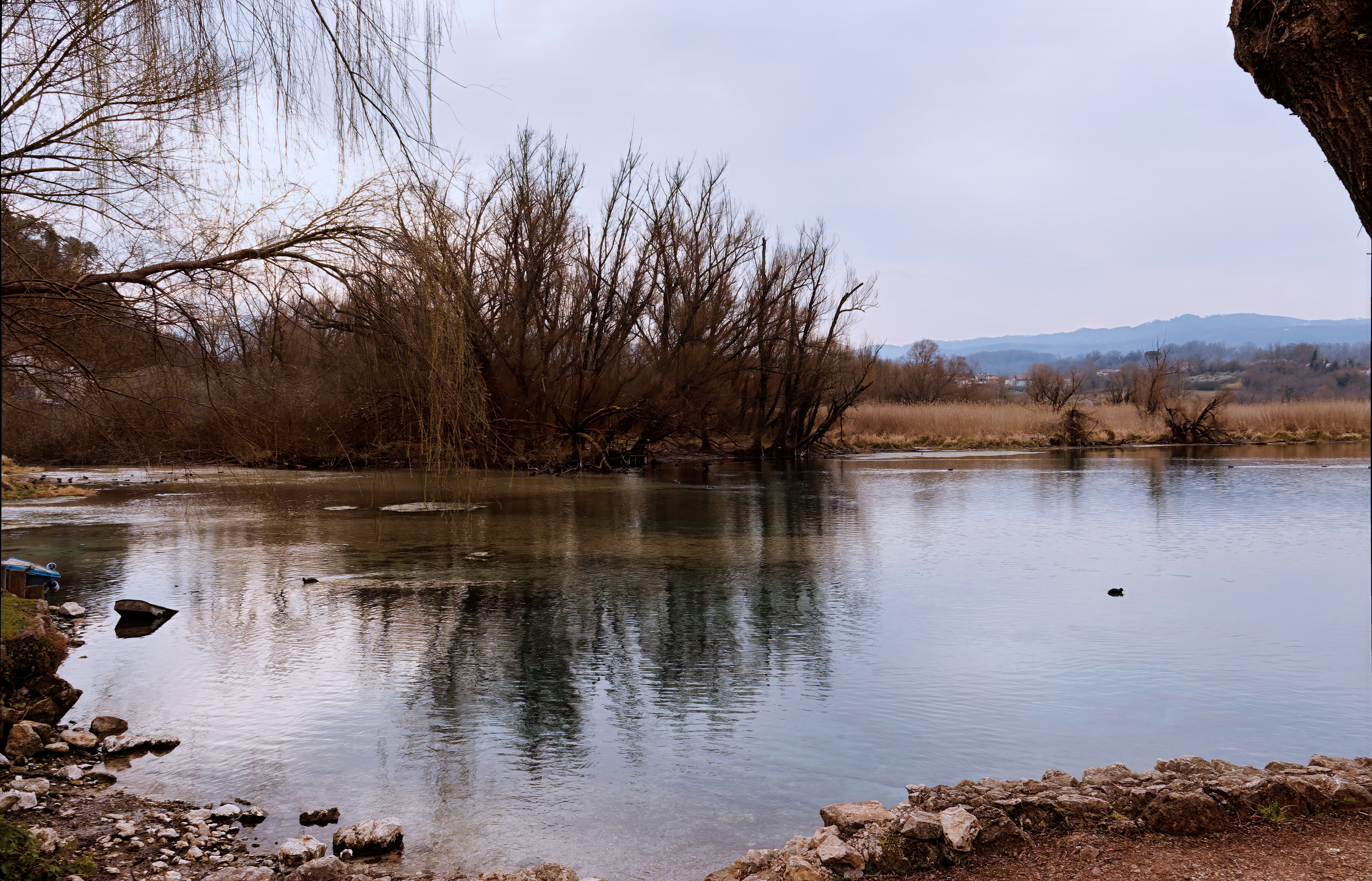 Photo by mircovitti87