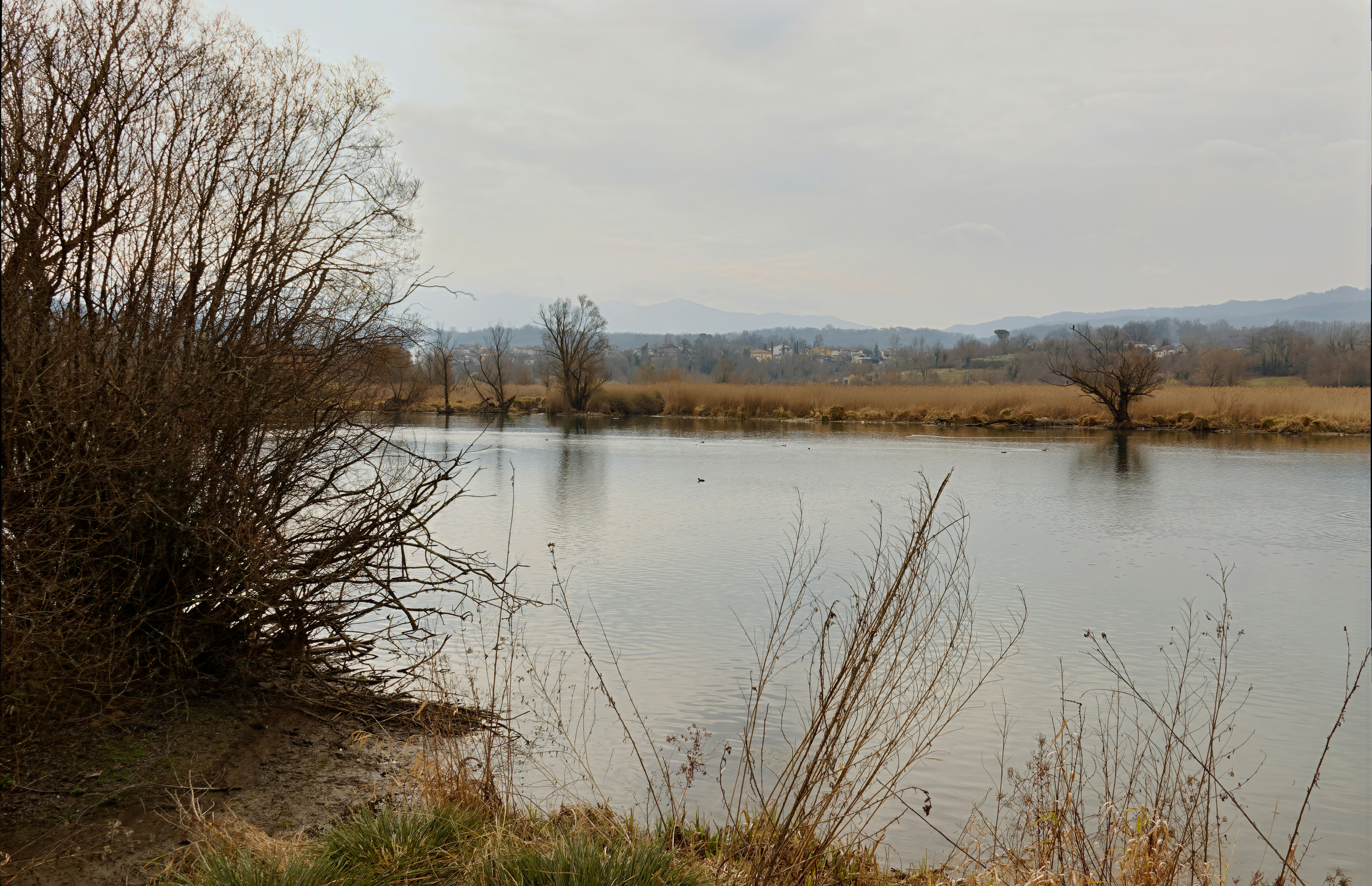 Photo by mircovitti87