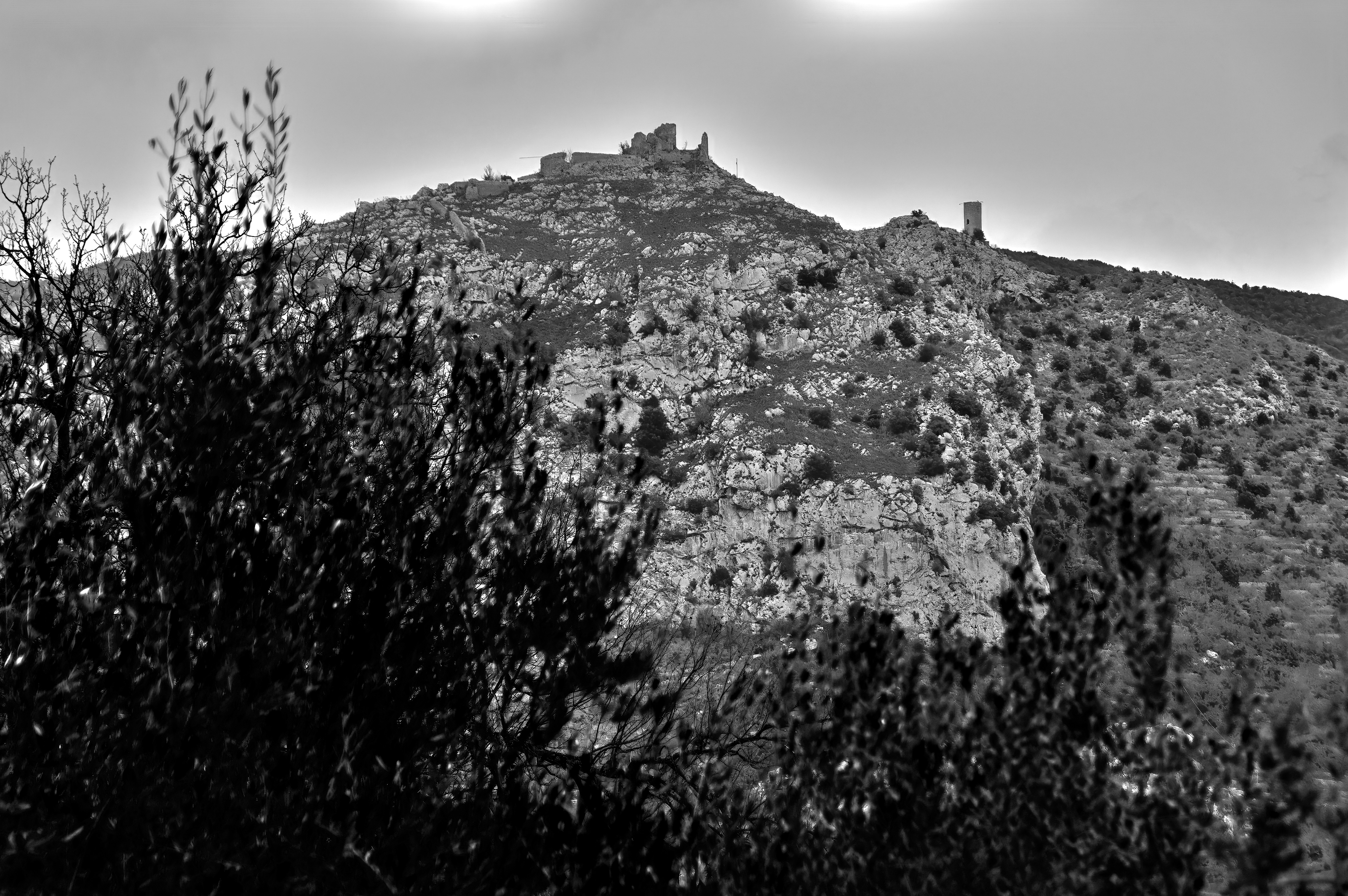 Photo by mircovitti87