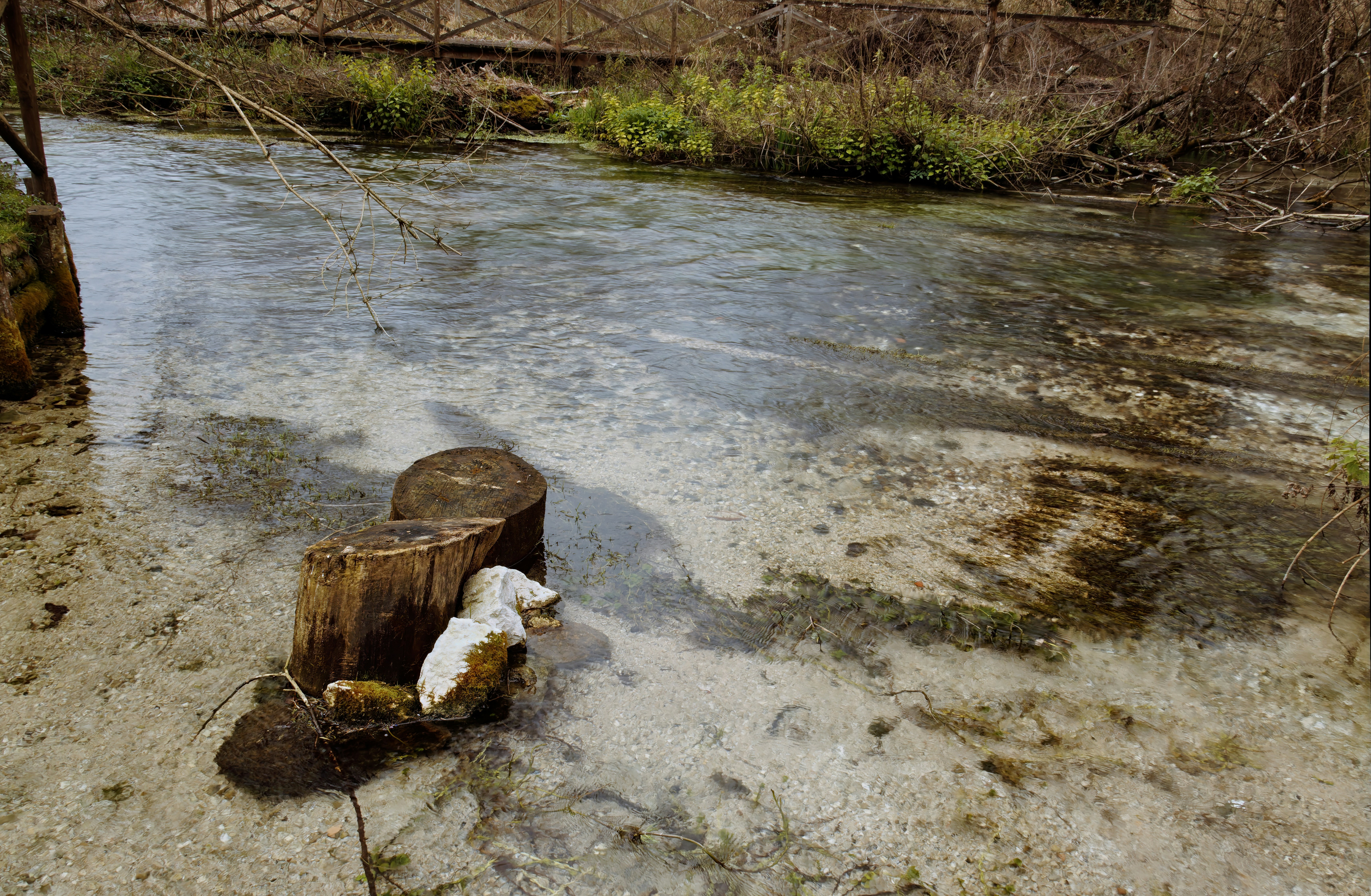 Photo by mircovitti87