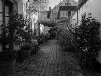 Narrow alley between buildings in black and white.