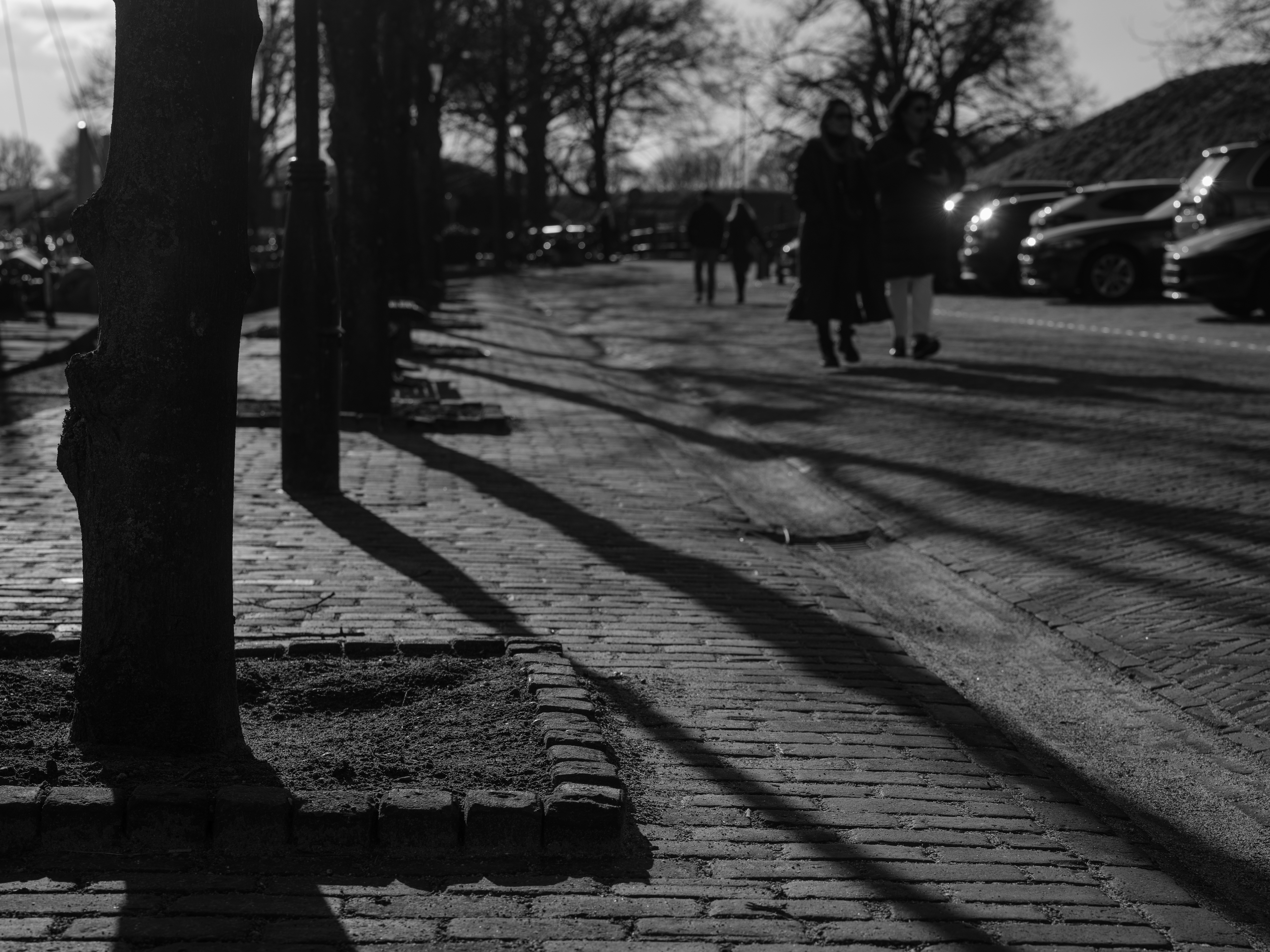 Photo by haberdoedas