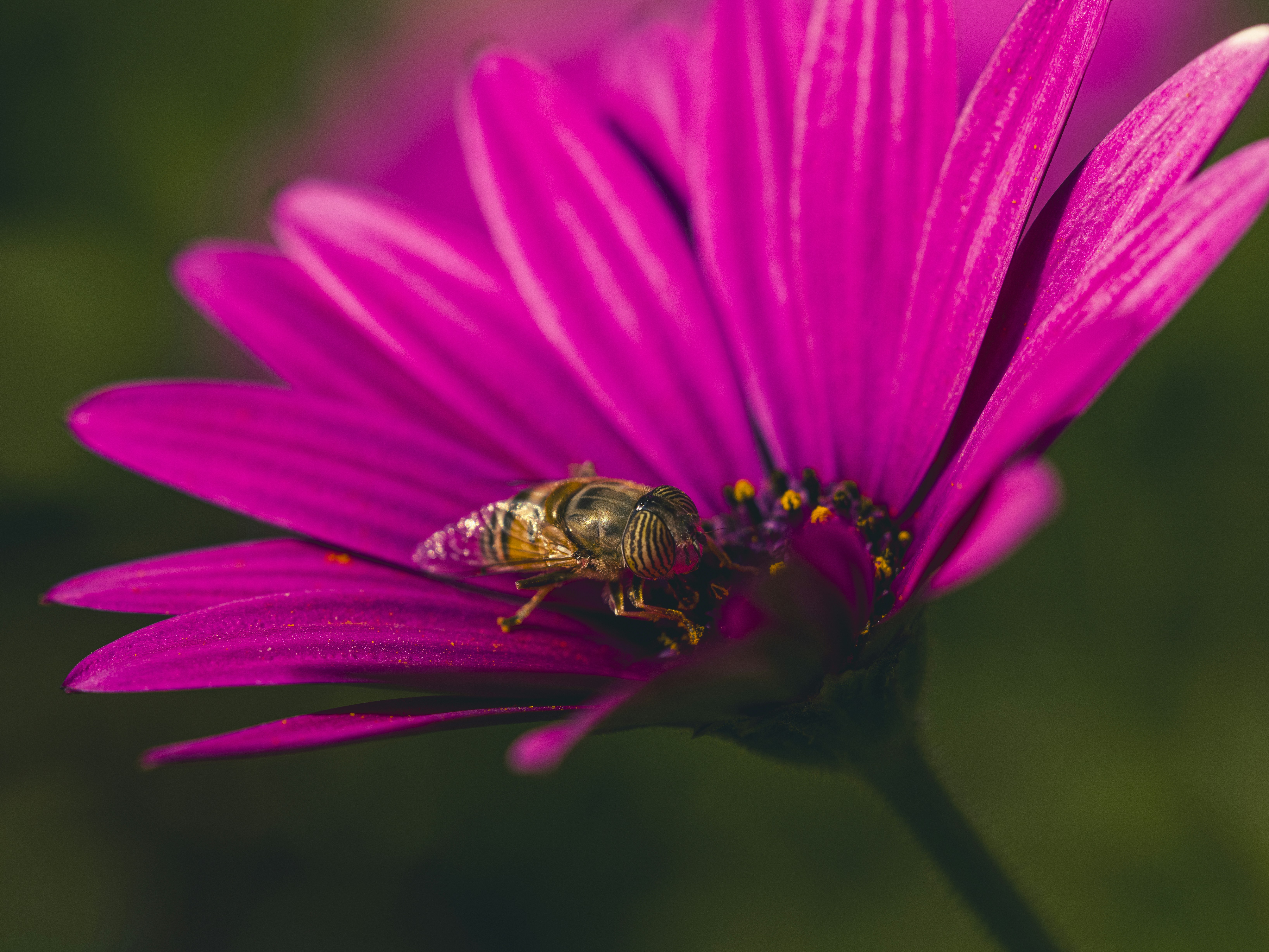 Photo by enginakyurt