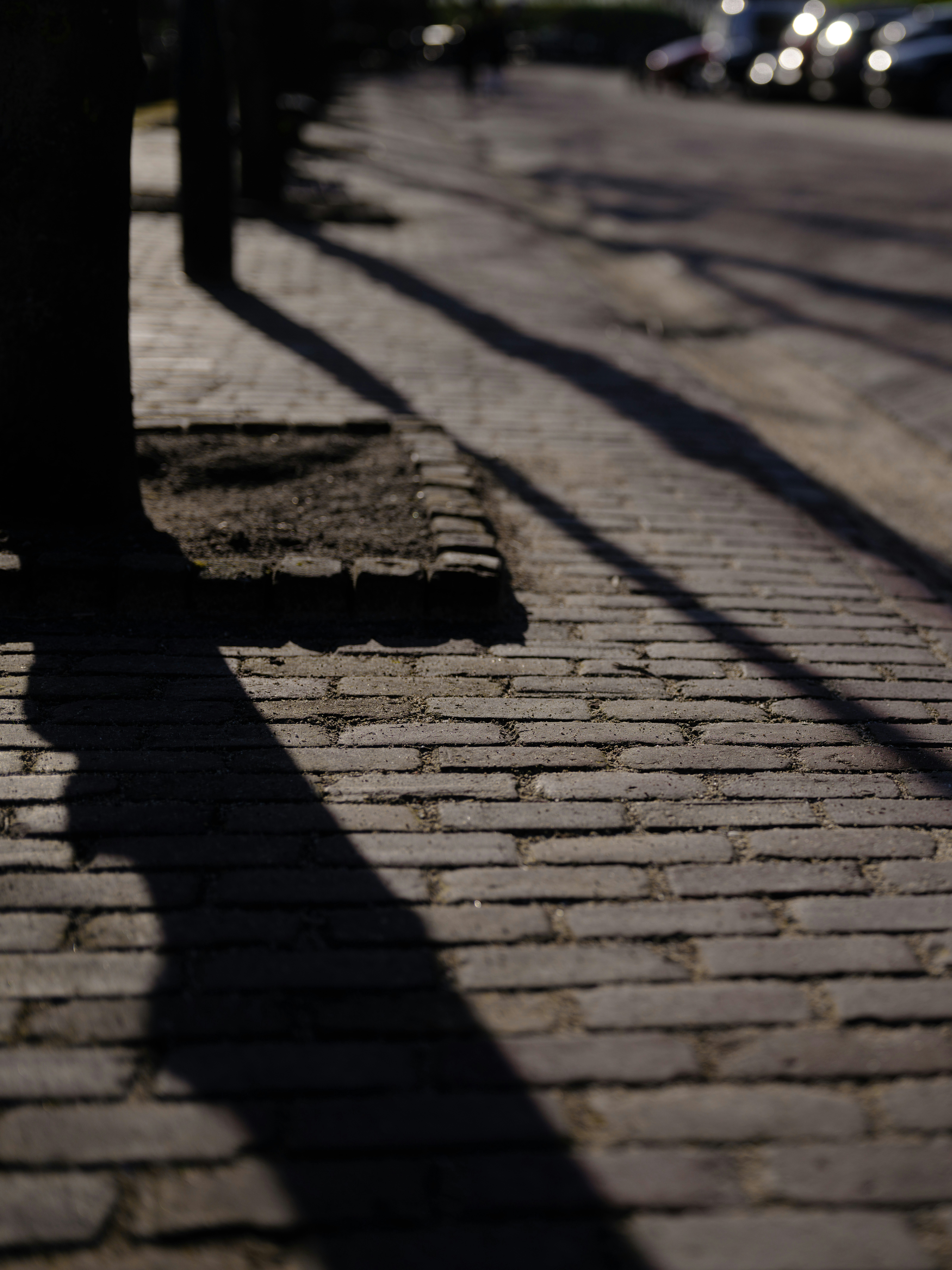 Photo by haberdoedas