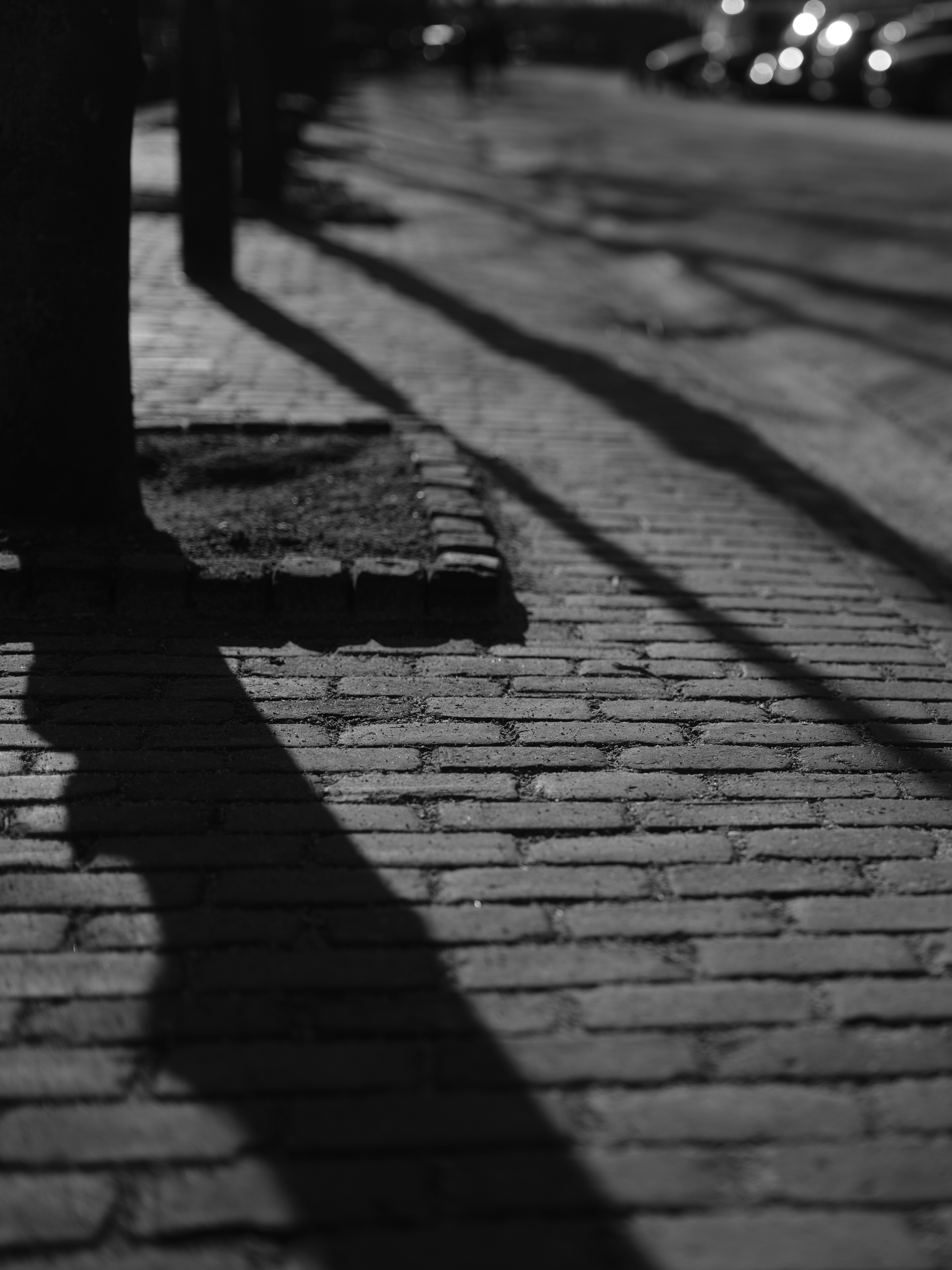 Photo by haberdoedas