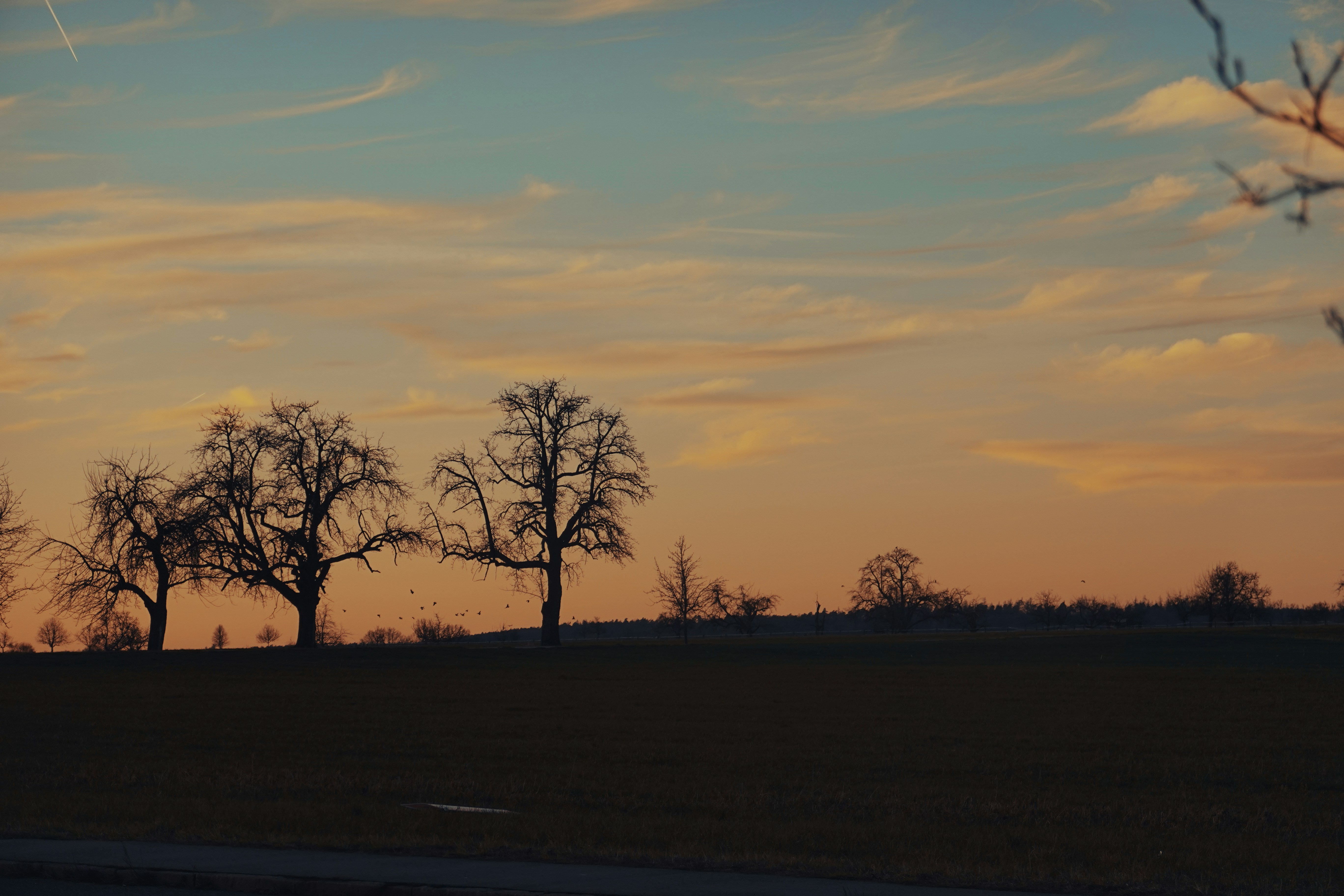 Photo by yingjiexiao