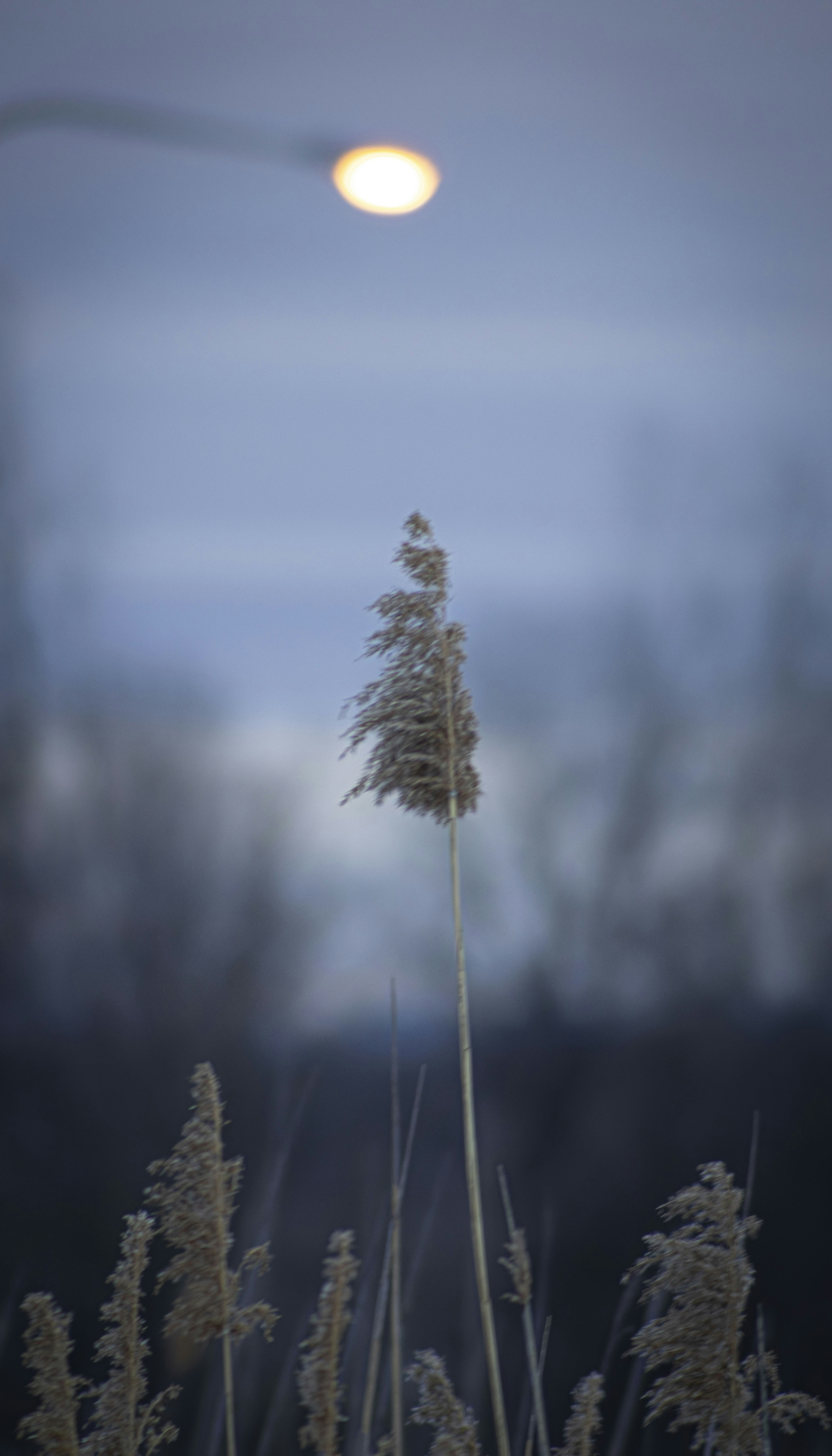 Photo by ivan_aviles