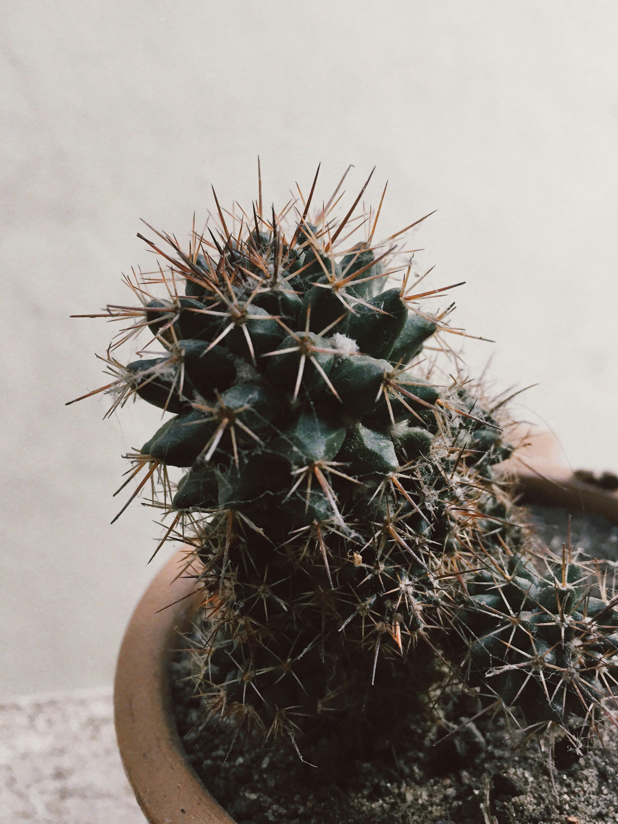 Photo by jonatancasttro