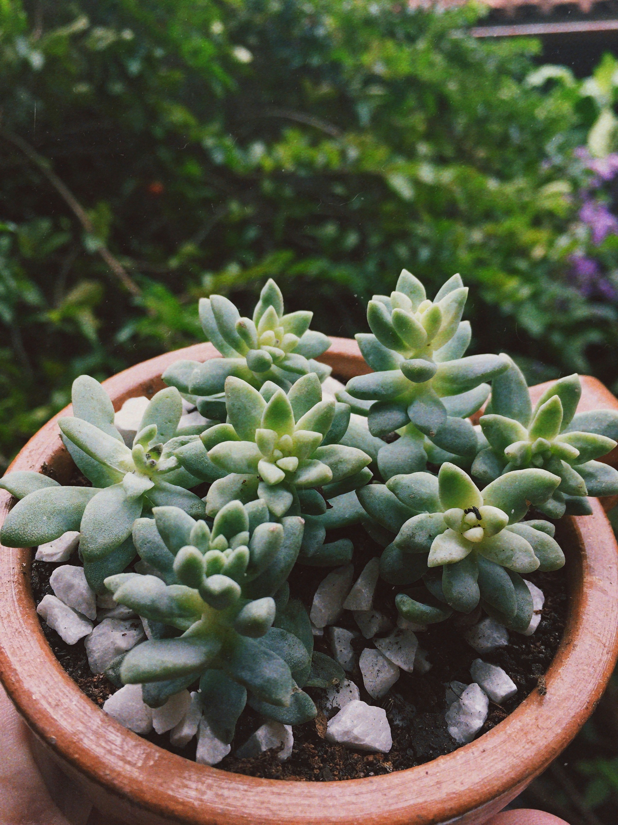 Photo by jonatancasttro