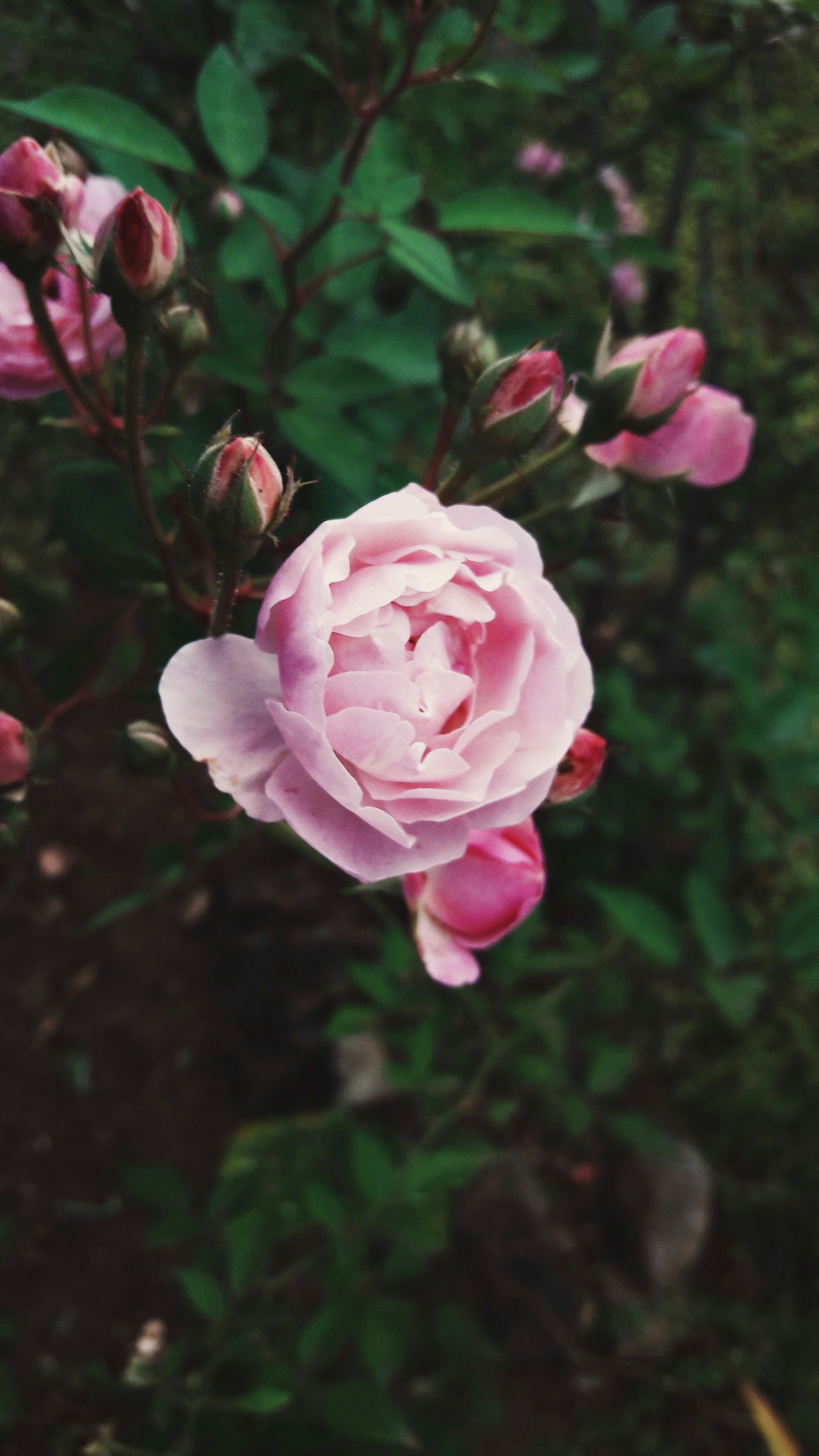 Photo by jonatancasttro