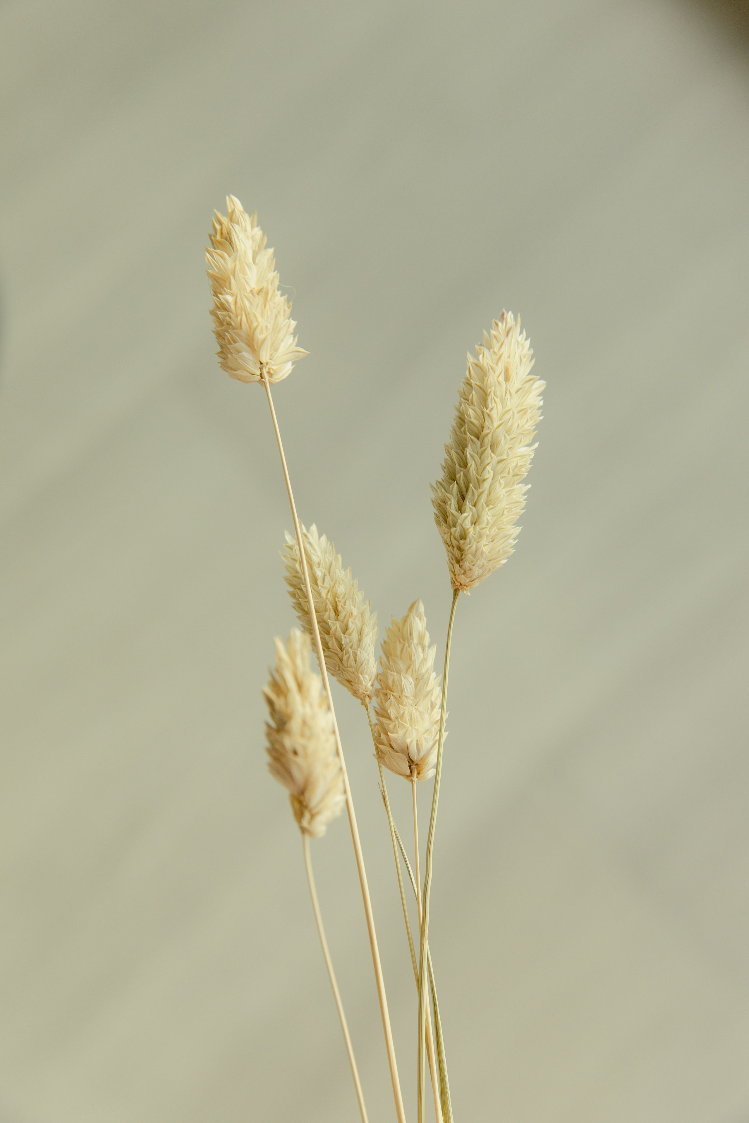 Photo by sibelivelazquez