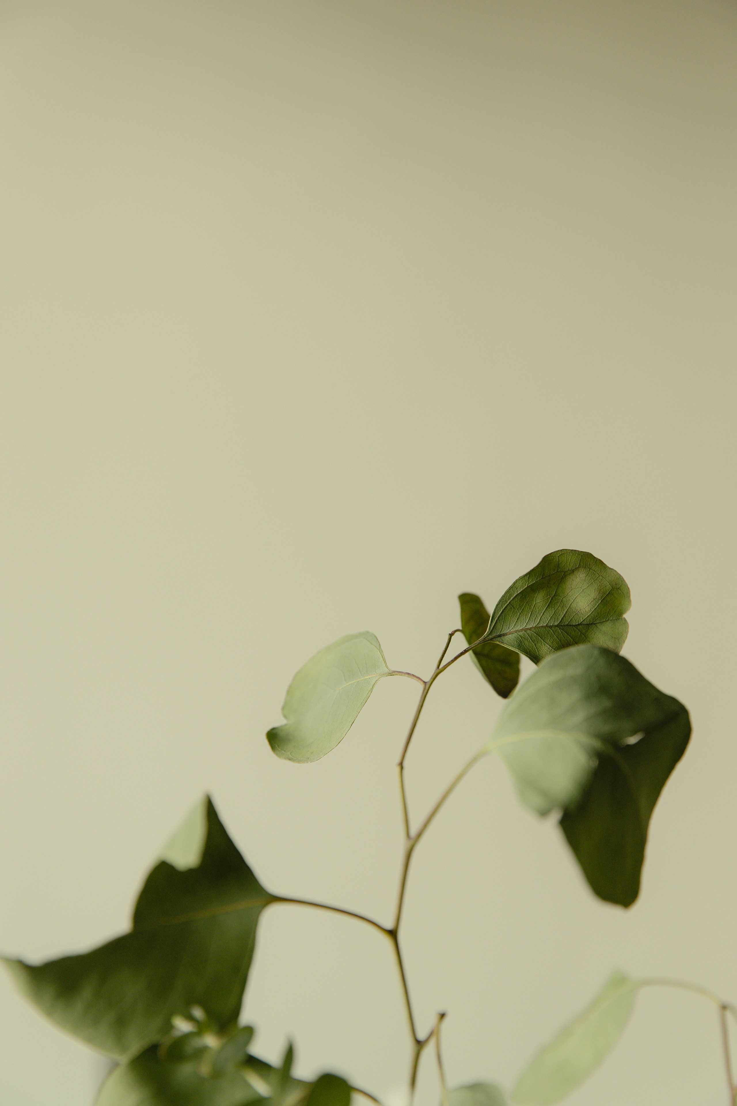 Photo by sibelivelazquez