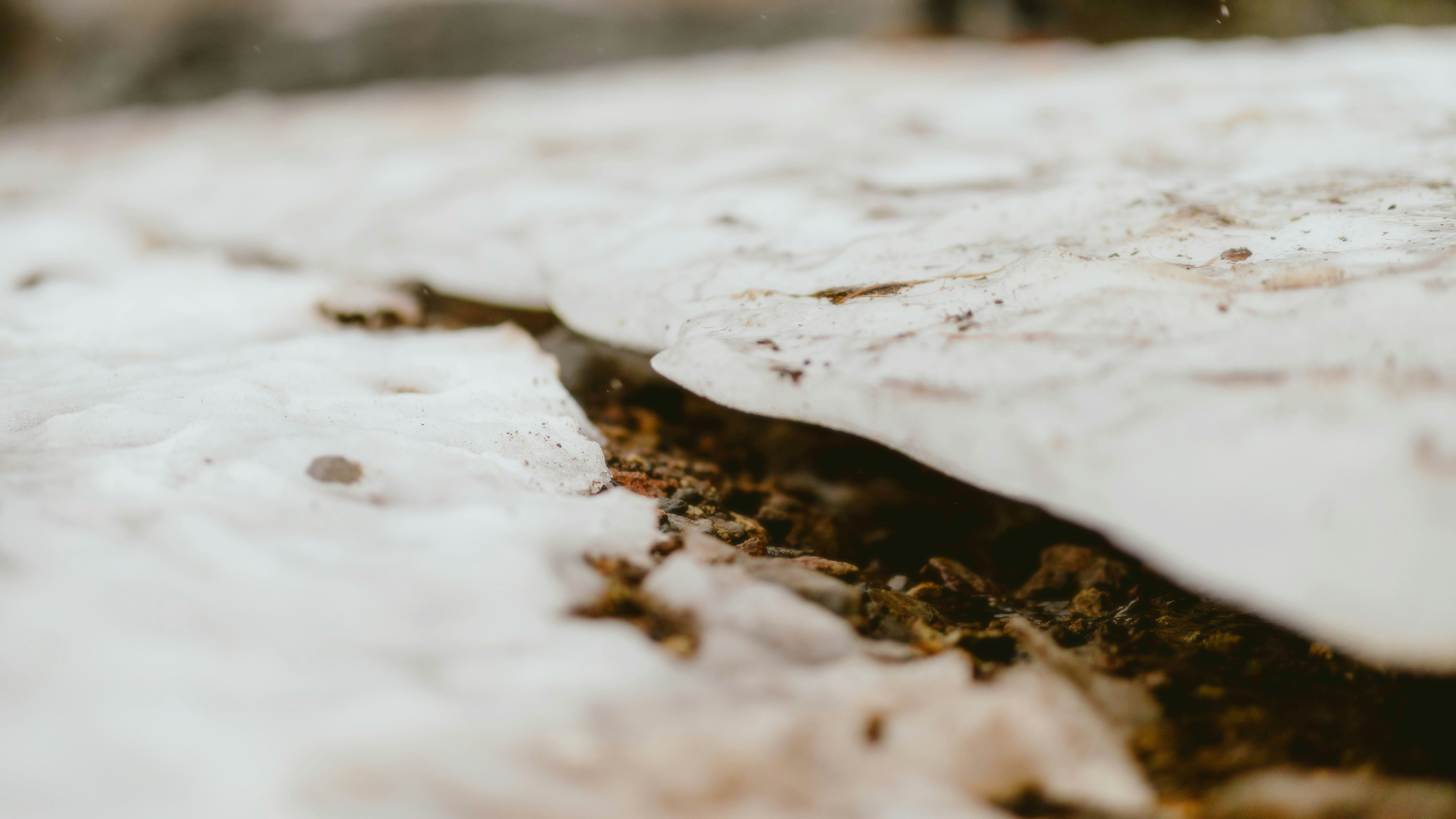 Photo by alingavriliuc