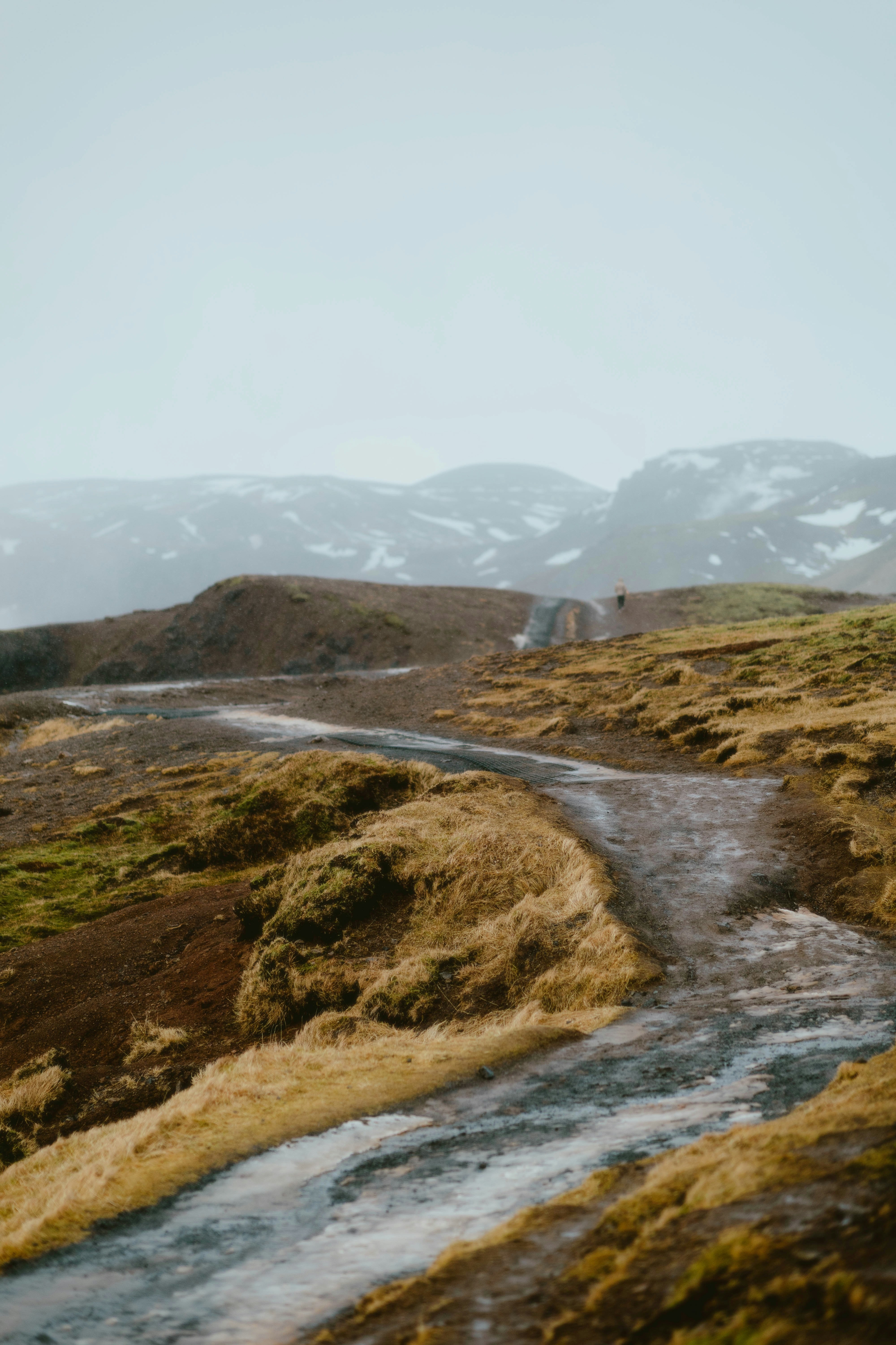 Photo by alingavriliuc