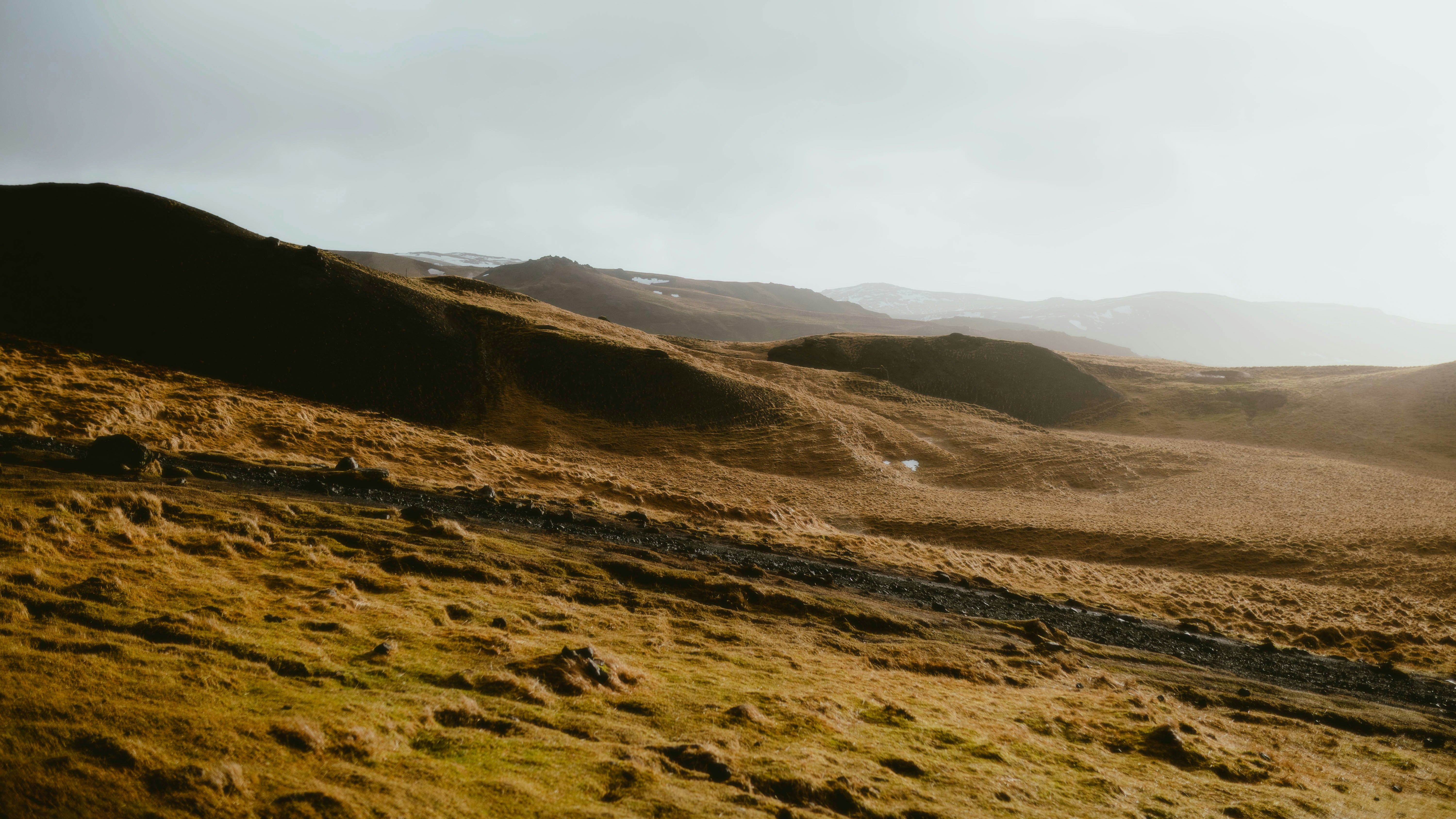 Photo by alingavriliuc