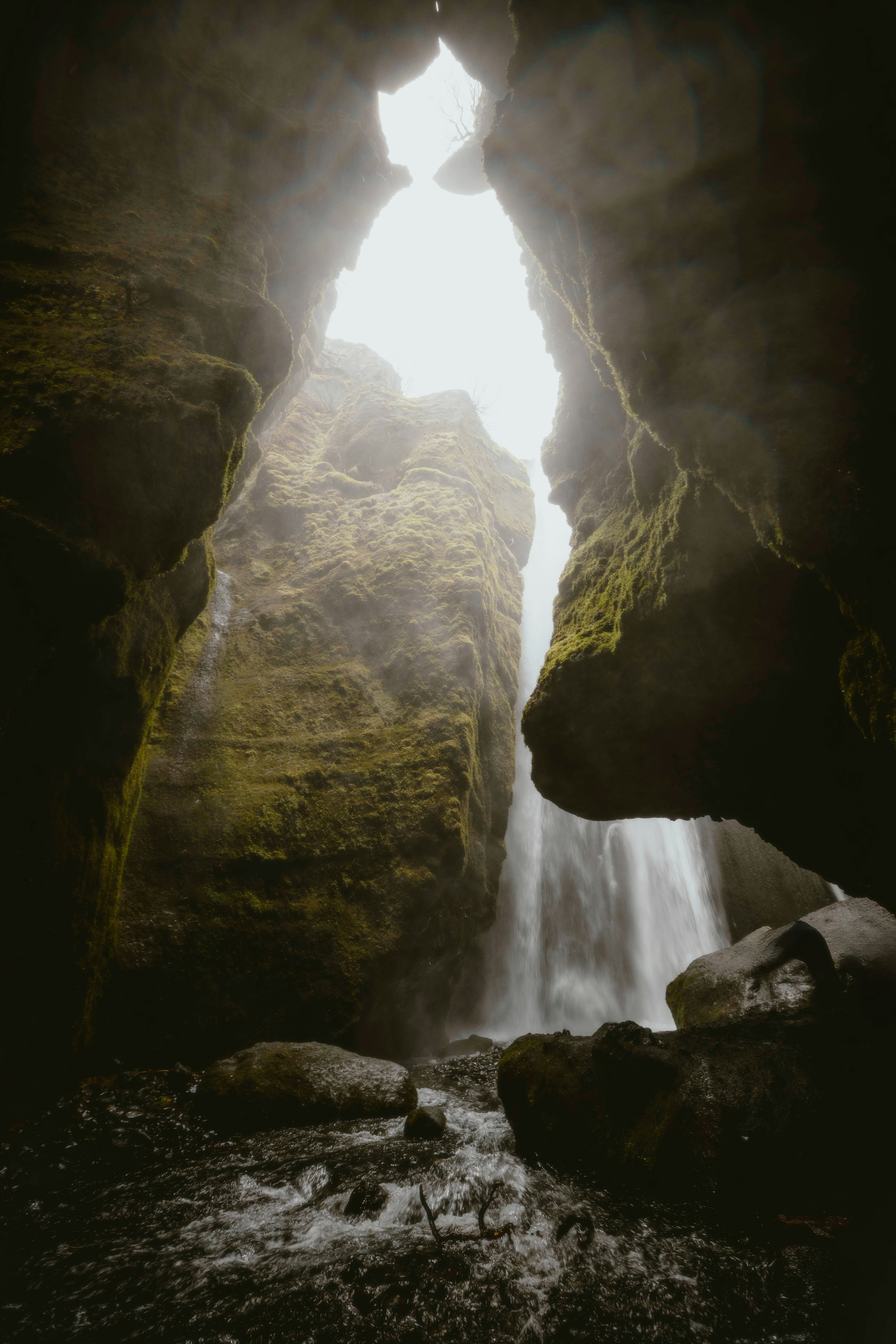 Photo by alingavriliuc