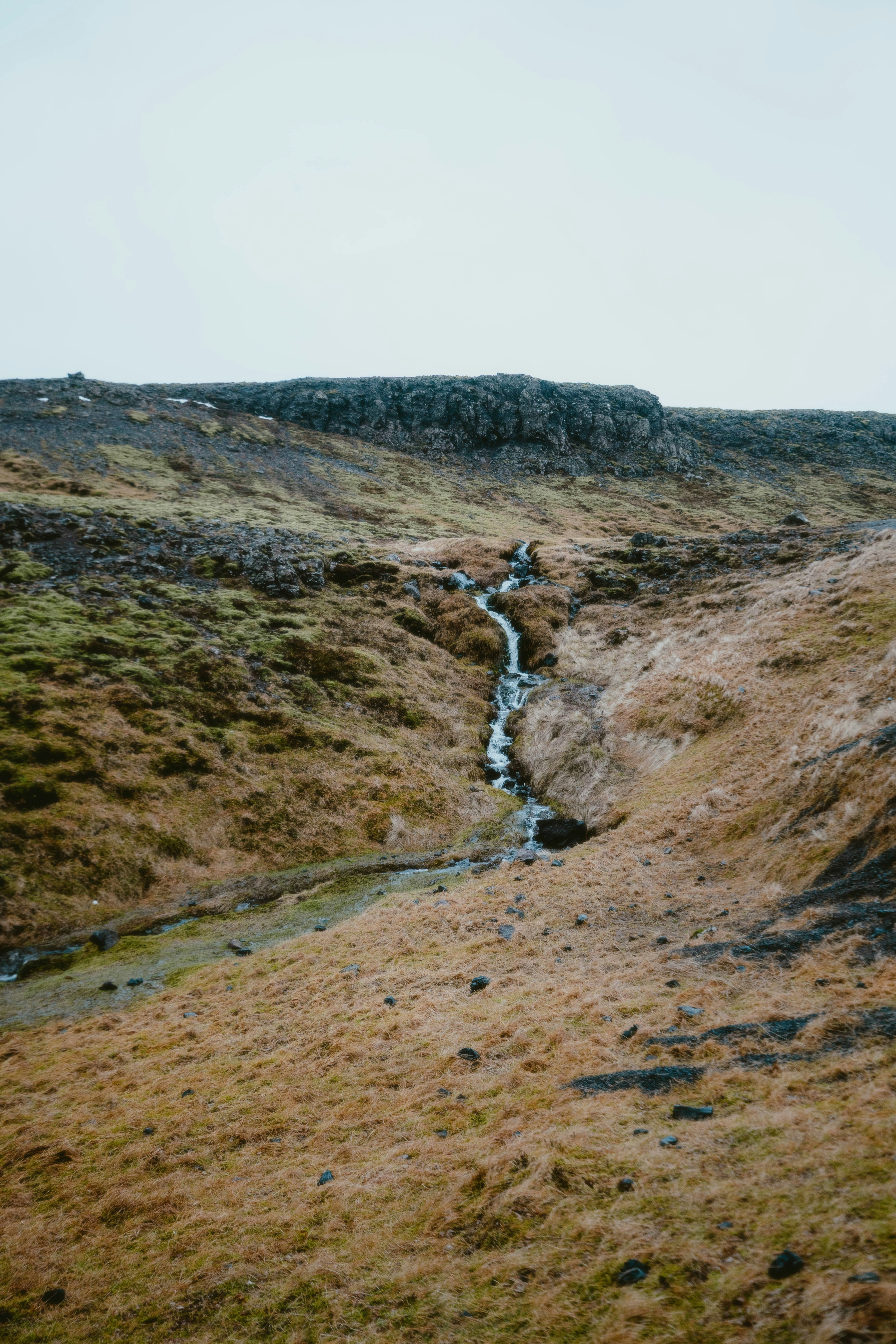 Photo by alingavriliuc