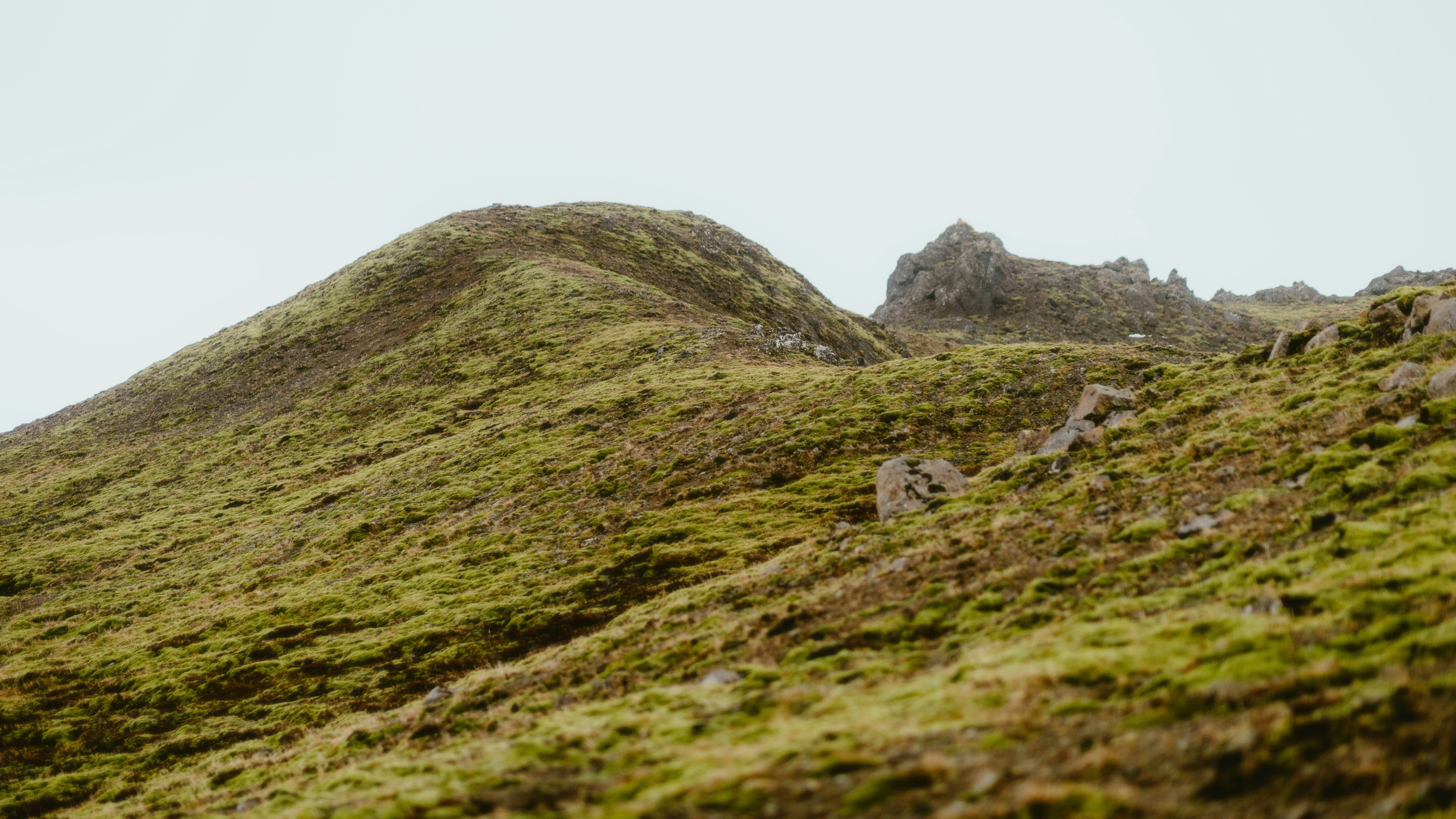 Photo by alingavriliuc