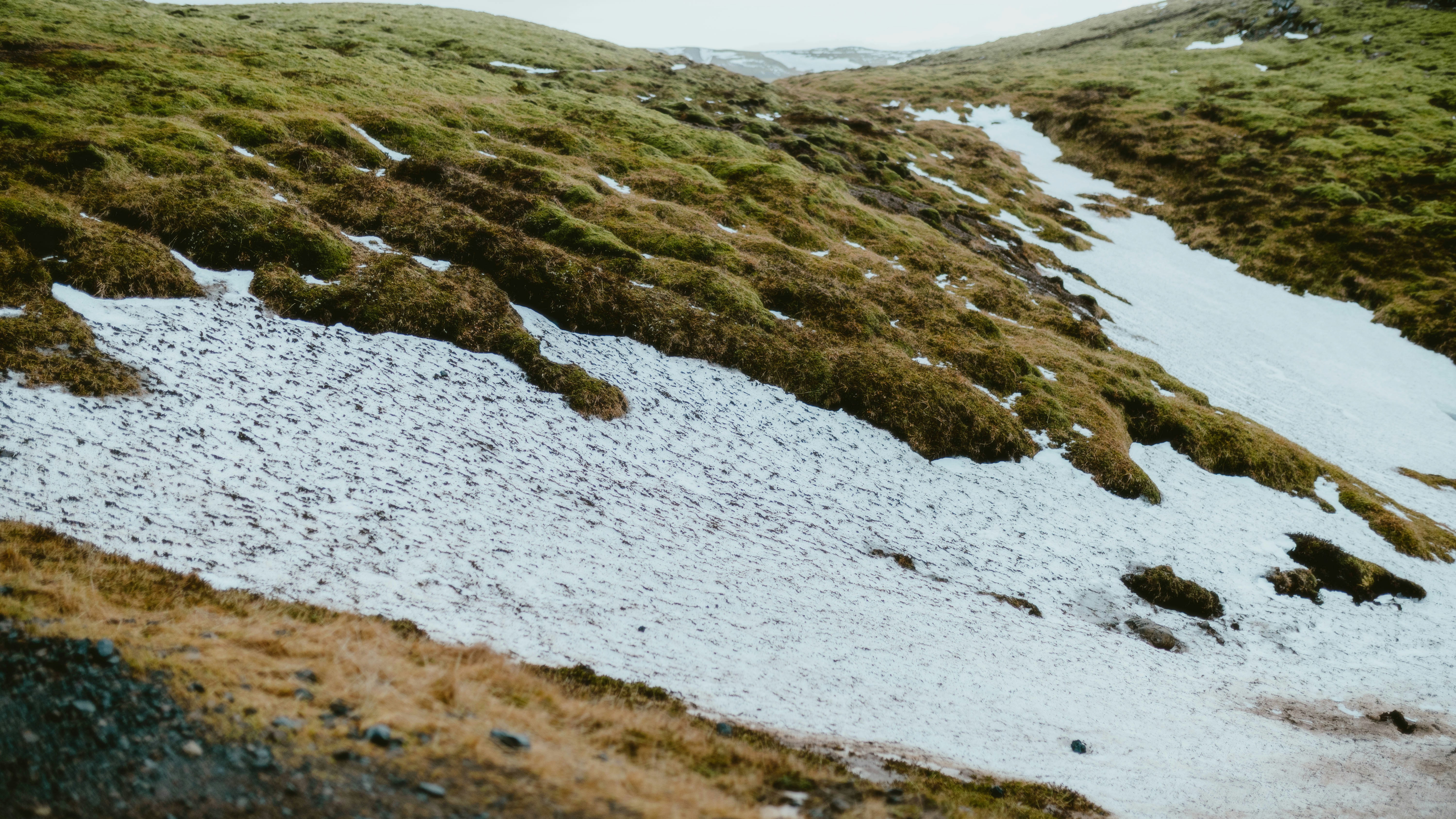 Photo by alingavriliuc